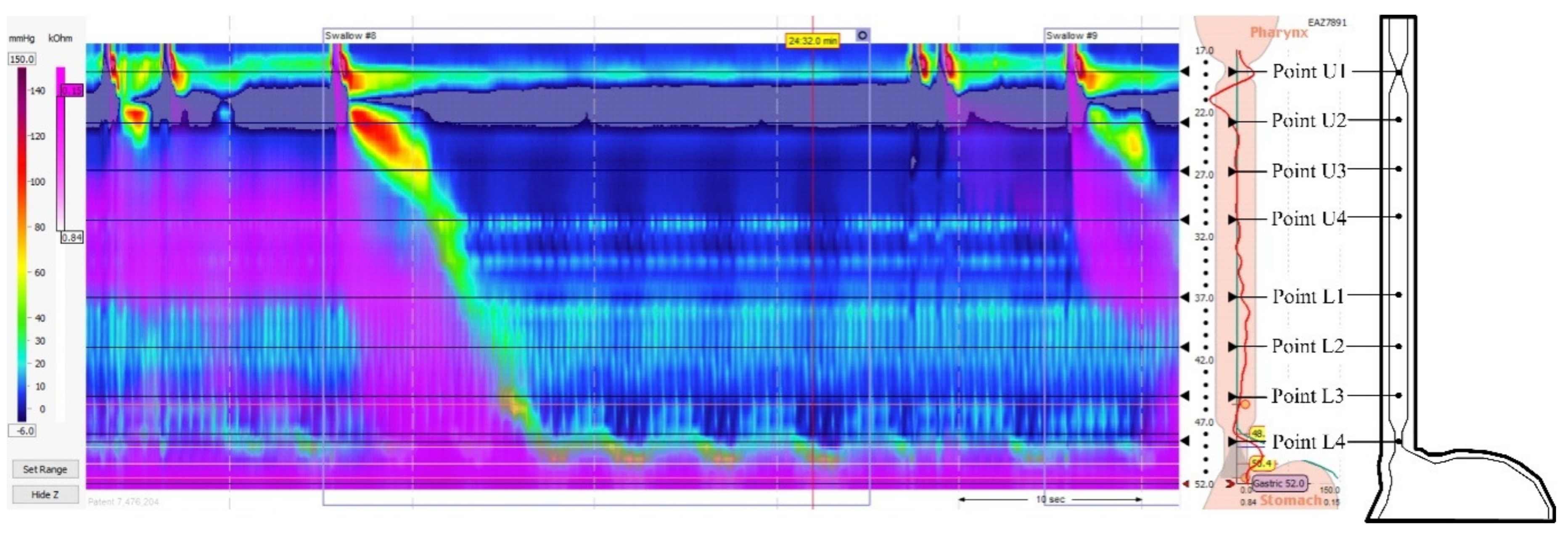 Jcm 10 05262 g001 Jcm 10 05262 g001