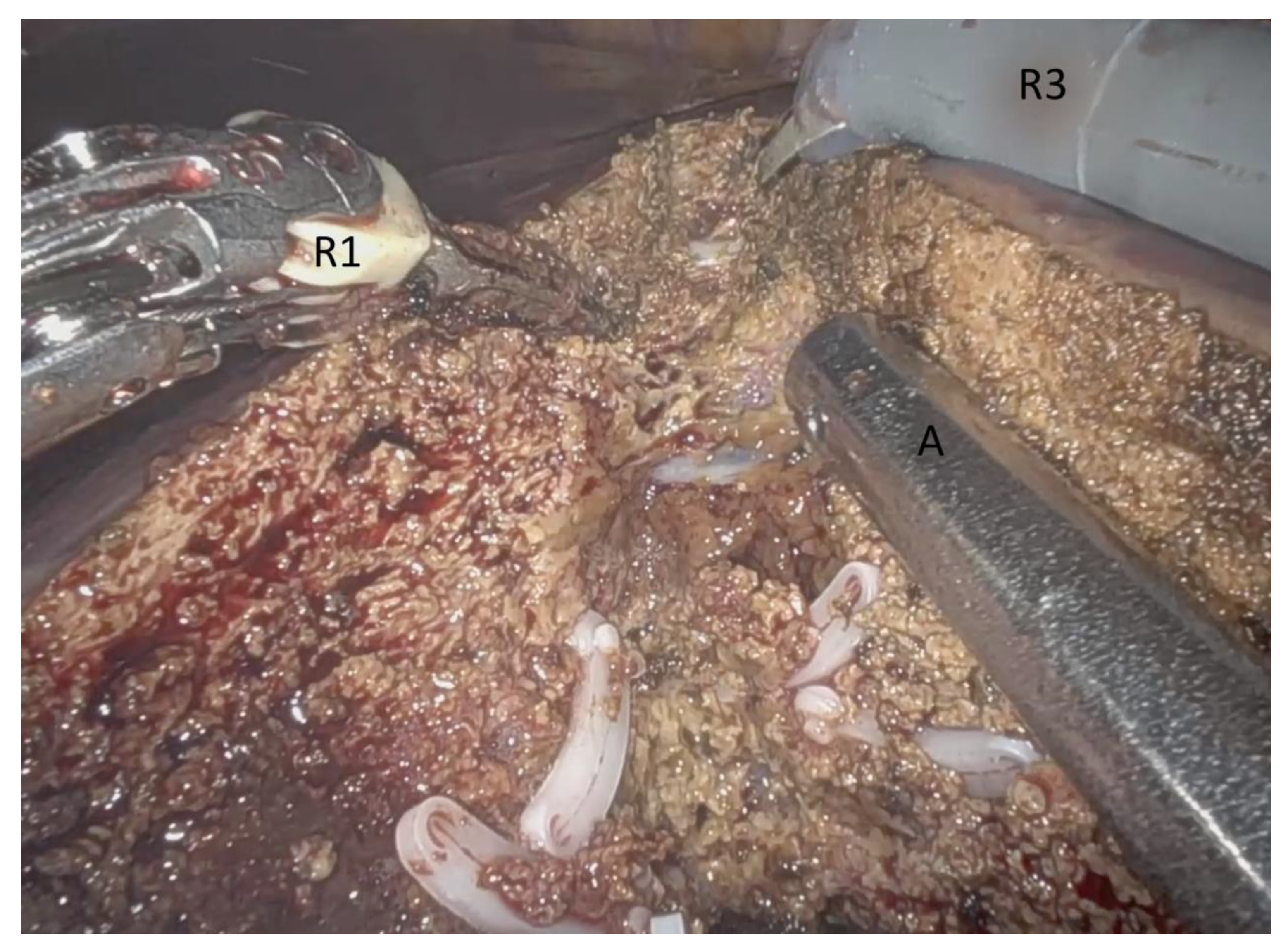 Jcm 10 05265 g003 550