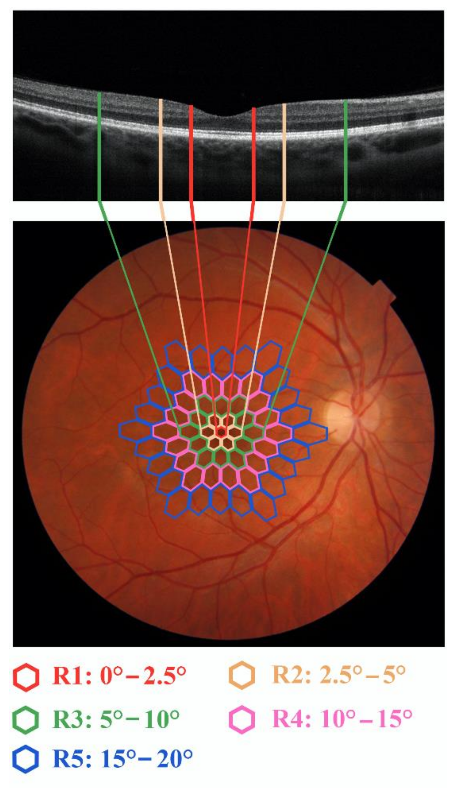Jcm 10 05271 g001 Jcm 10 05271 g001