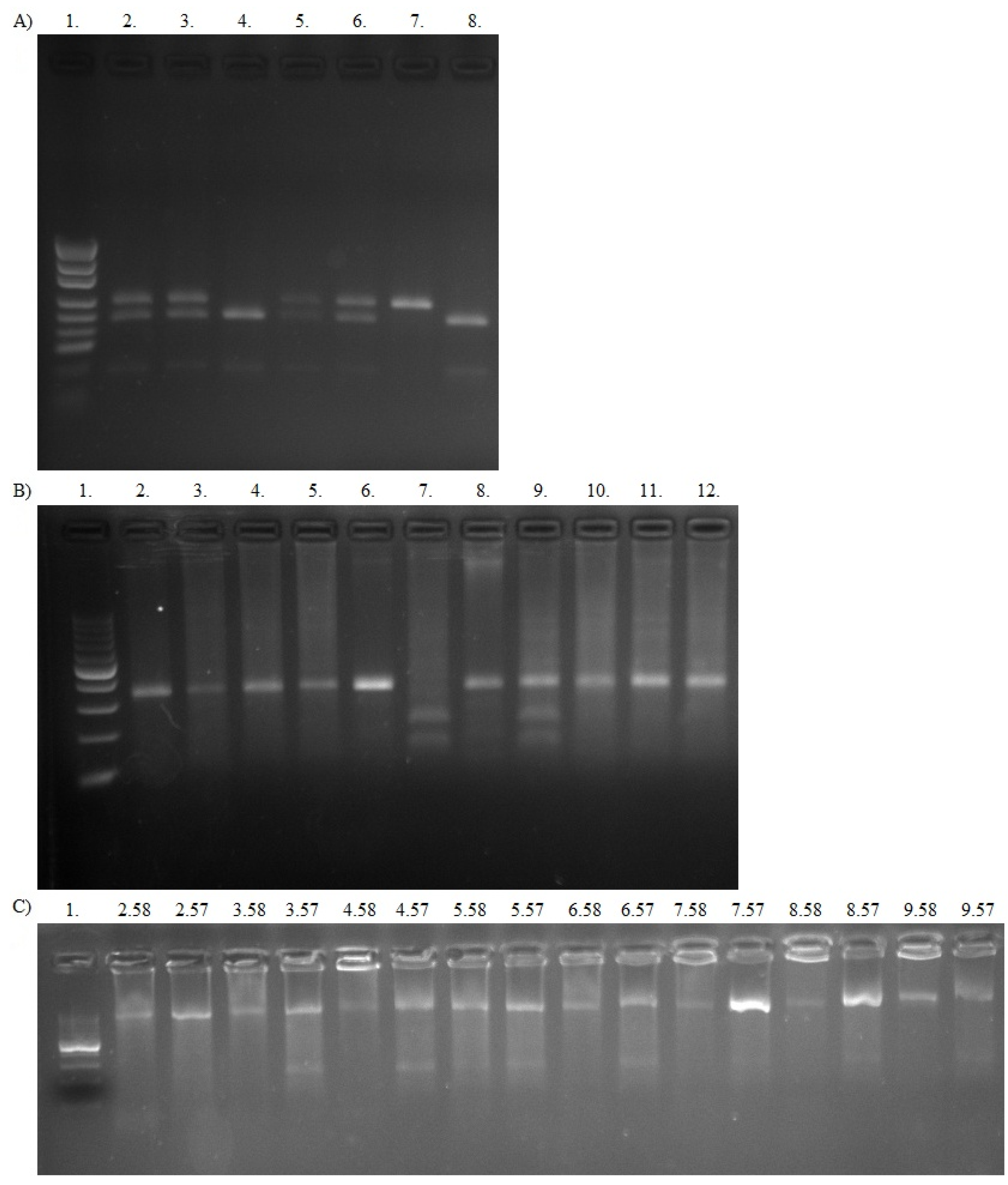 Jcm 10 05276 g002 Jcm 10 05276 g002
