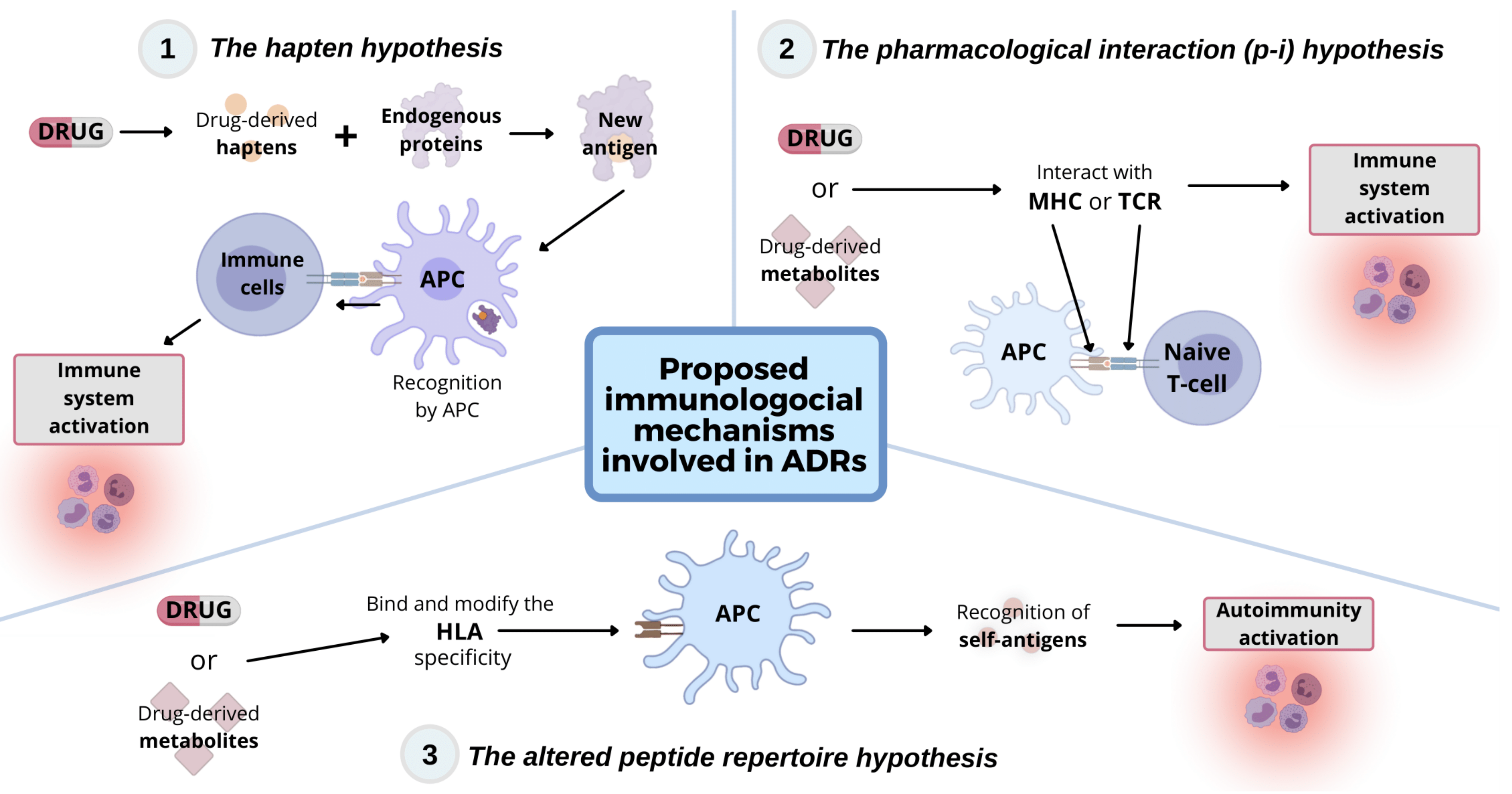 Jcm 10 05317 g001 Jcm 10 05317 g001