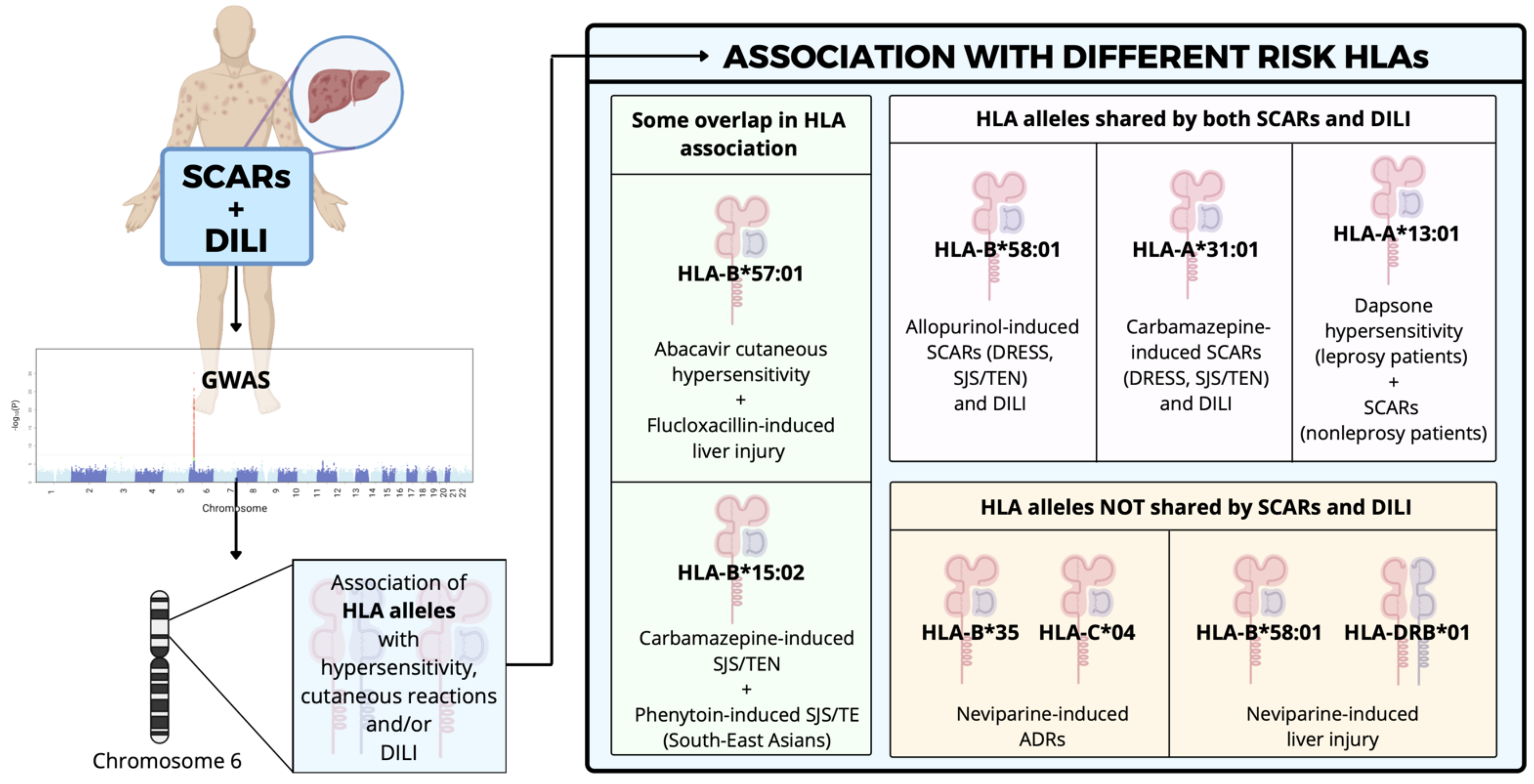 Jcm 10 05317 g002 Jcm 10 05317 g002