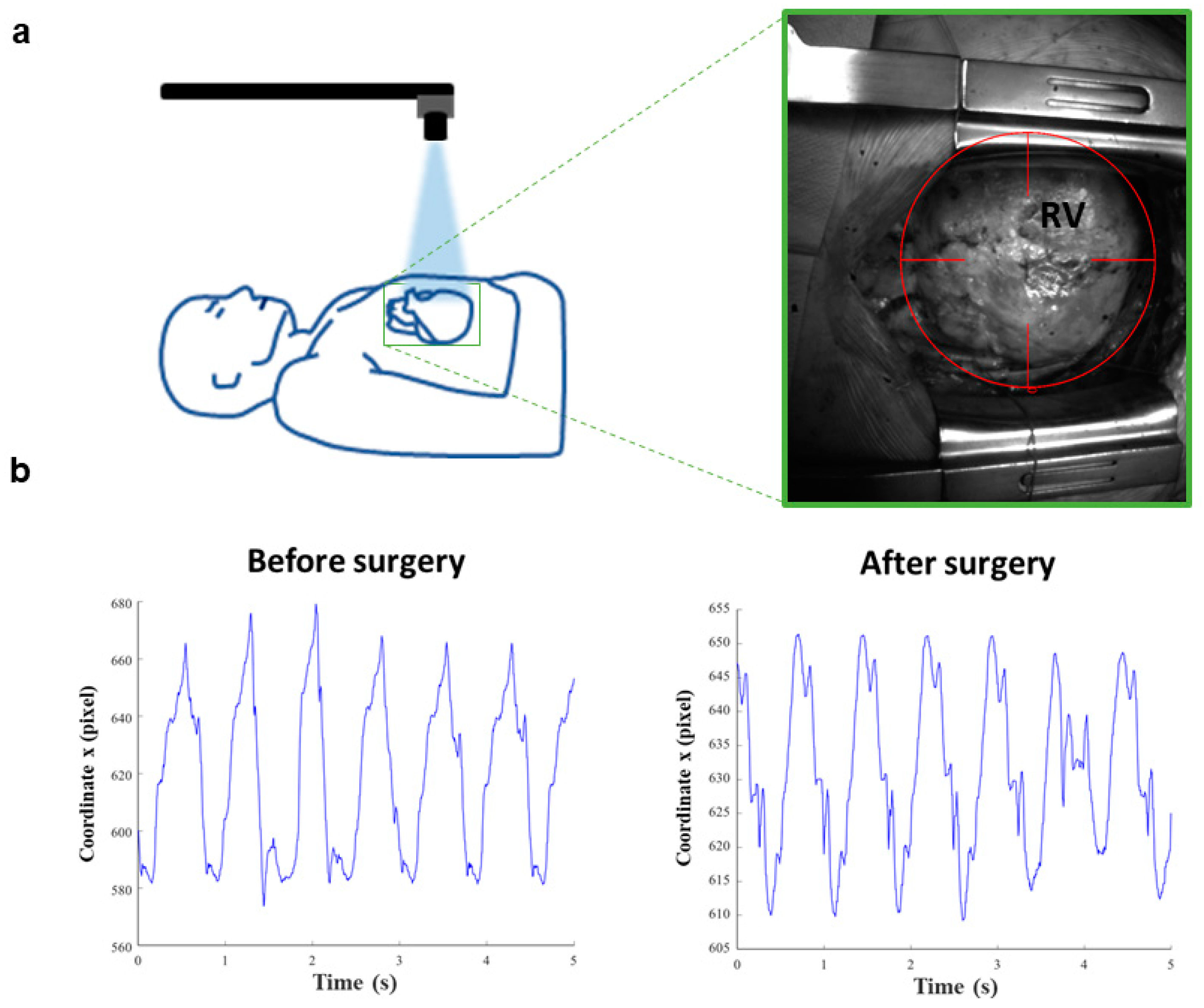 Jcm 10 05330 g001 550