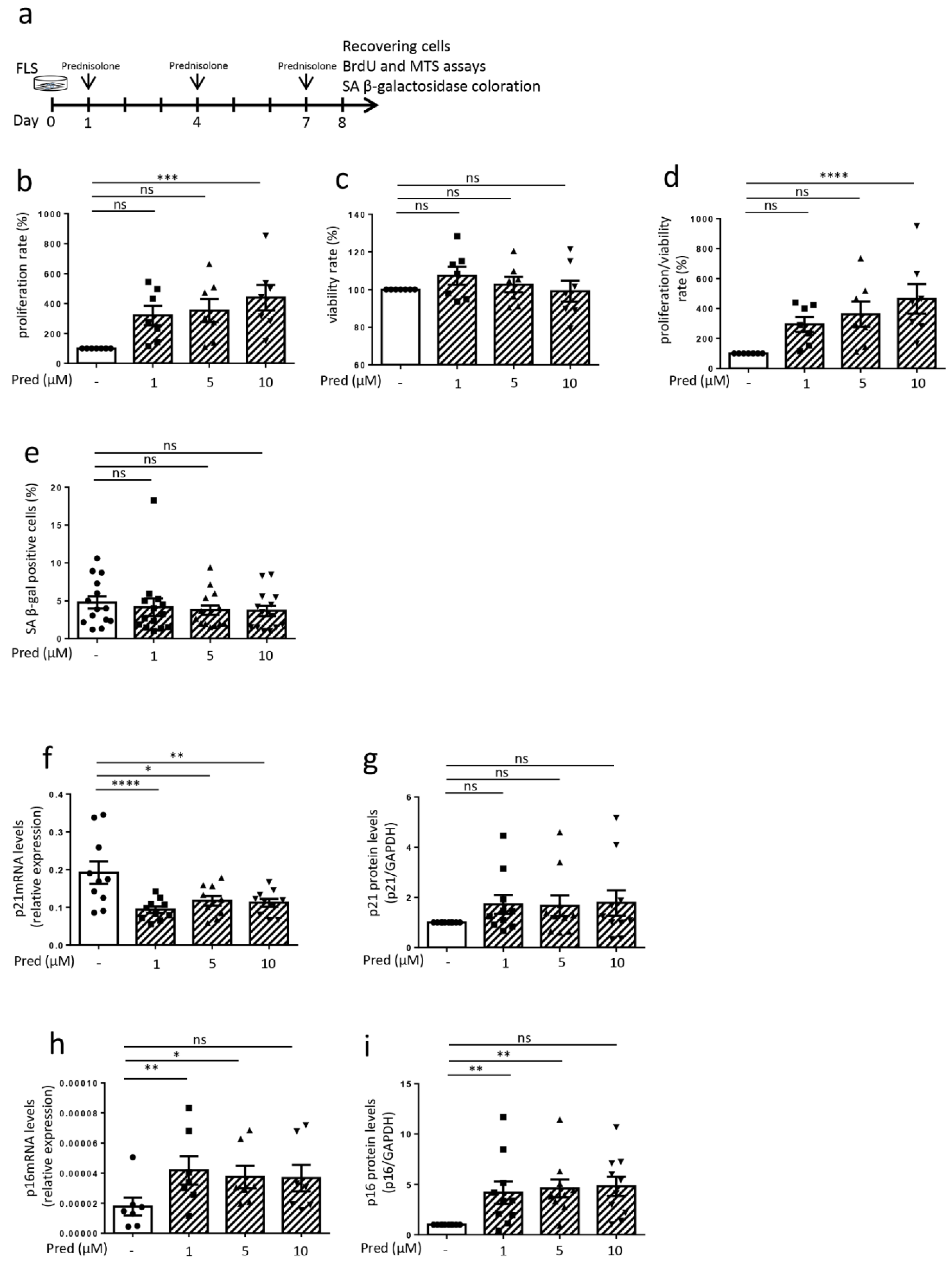 Jcm 10 05331 g002 Jcm 10 05331 g002