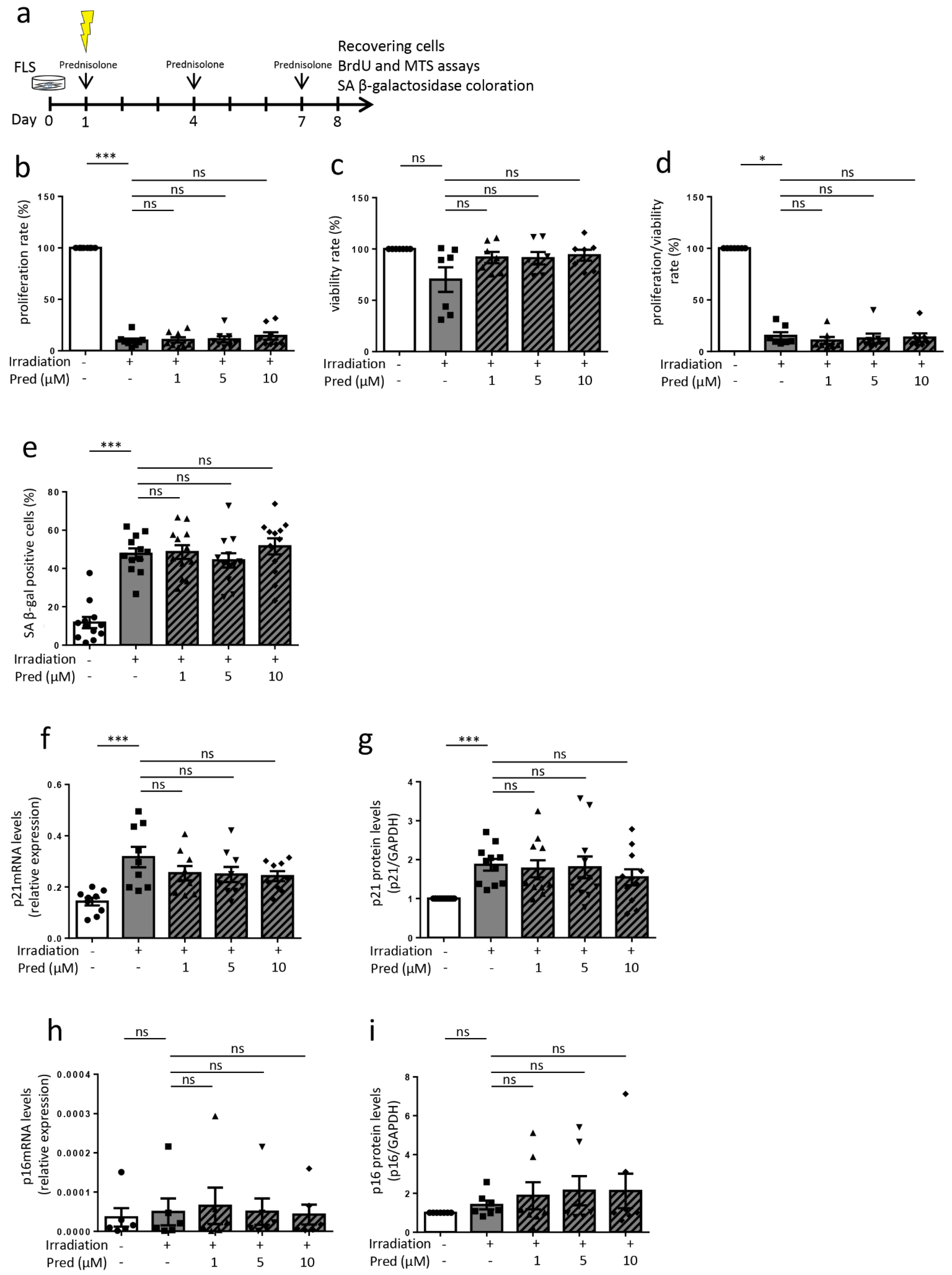 Jcm 10 05331 g003 Jcm 10 05331 g003