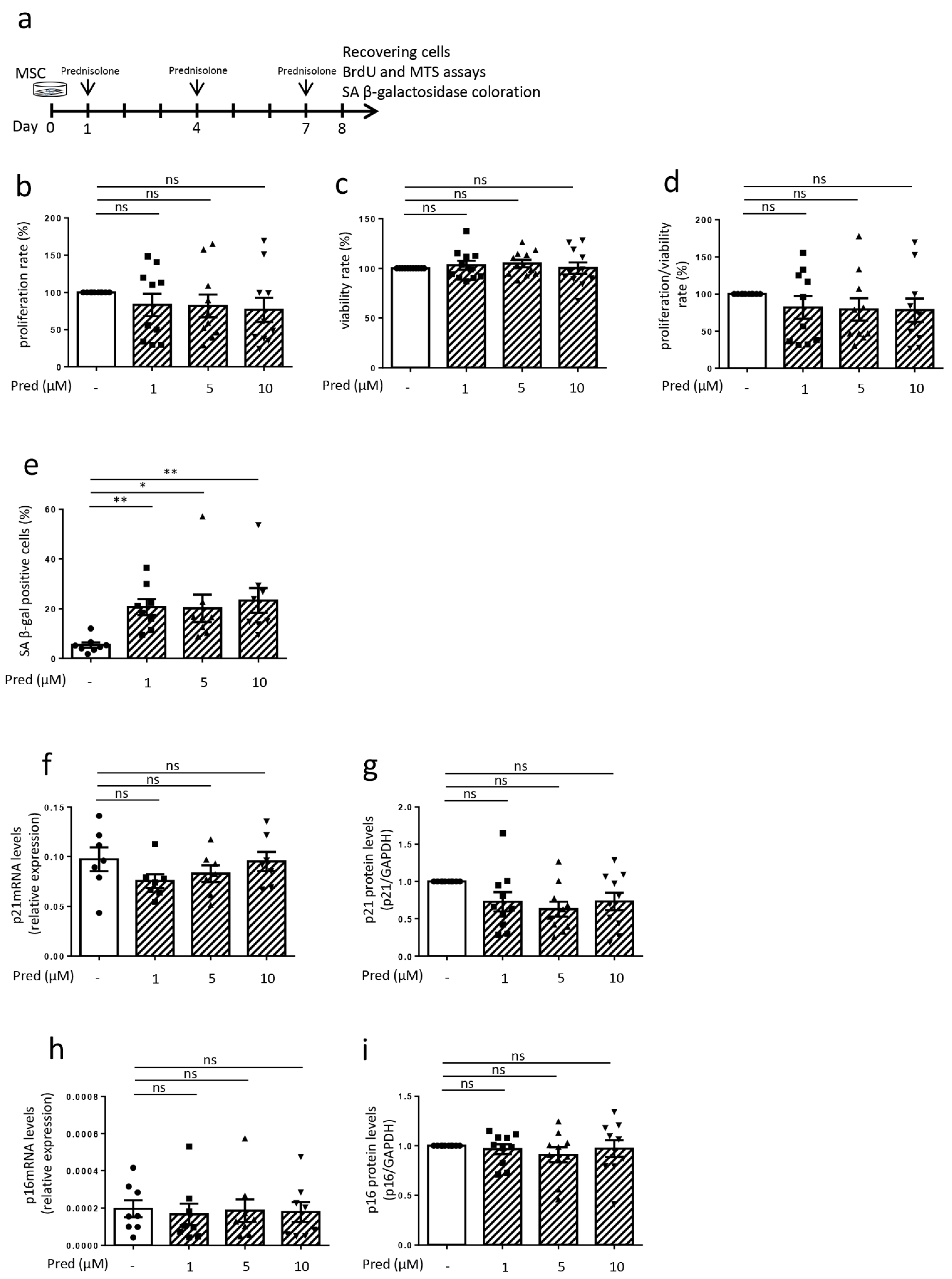Jcm 10 05331 g004 Jcm 10 05331 g004