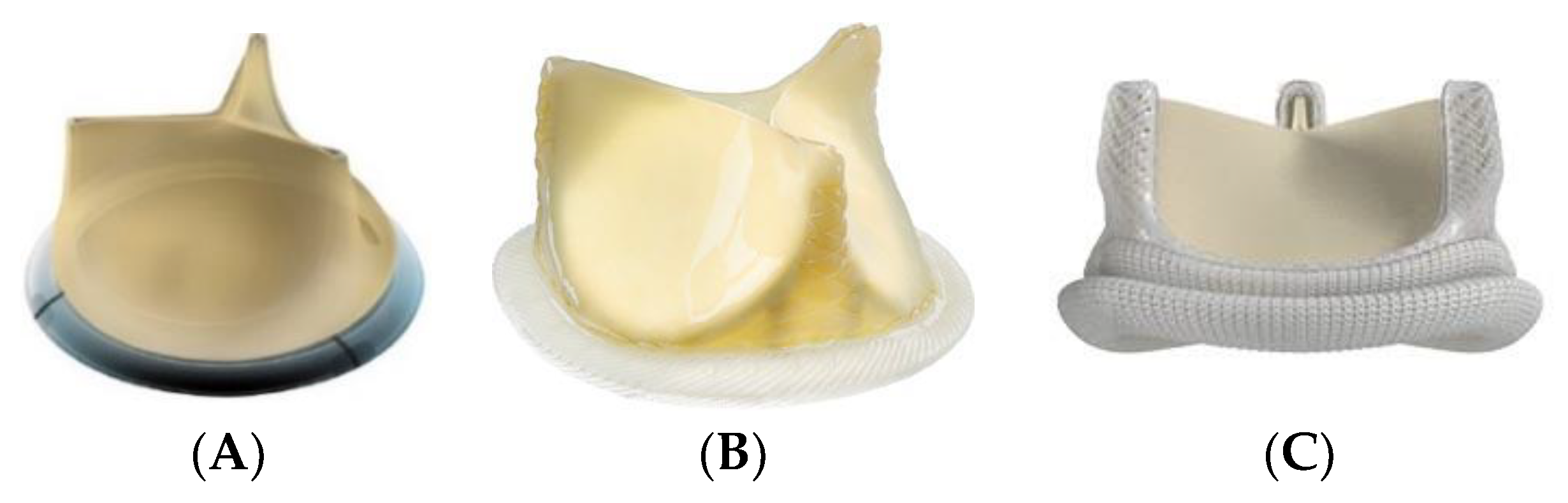 Jcm 10 05340 g001 Jcm 10 05340 g001