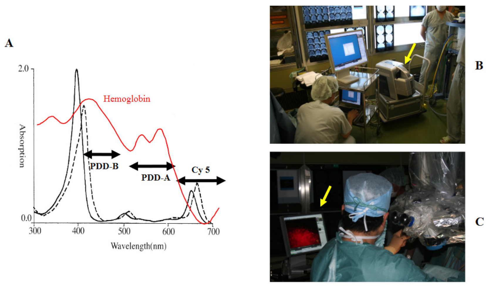 Jcm 10 05375 g001 Jcm 10 05375 g001