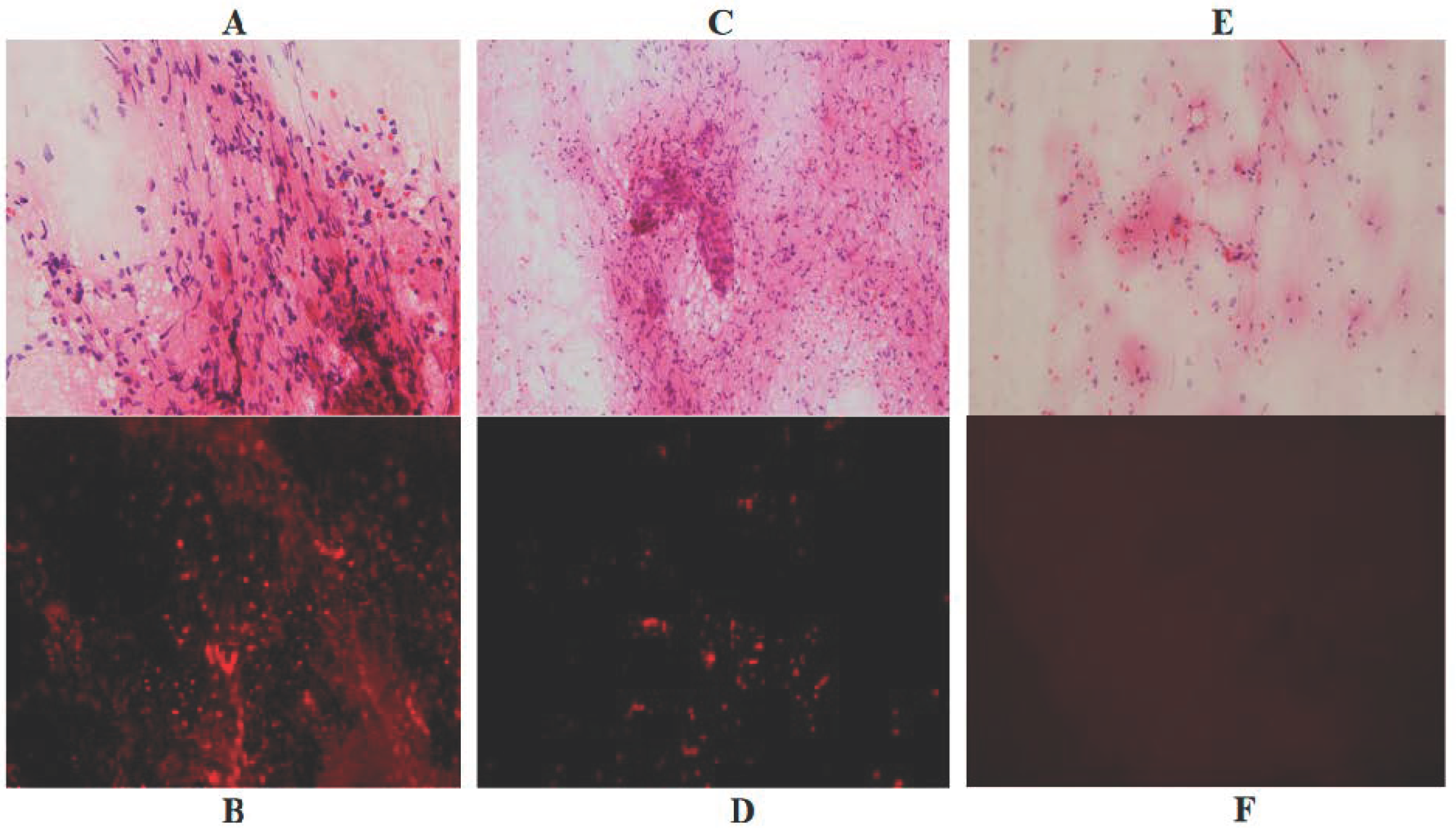 Jcm 10 05375 g003 Jcm 10 05375 g003