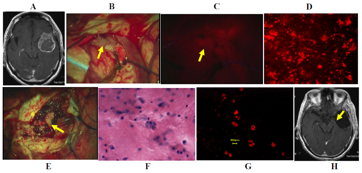 Jcm 10 05375 g005 Jcm 10 05375 g005