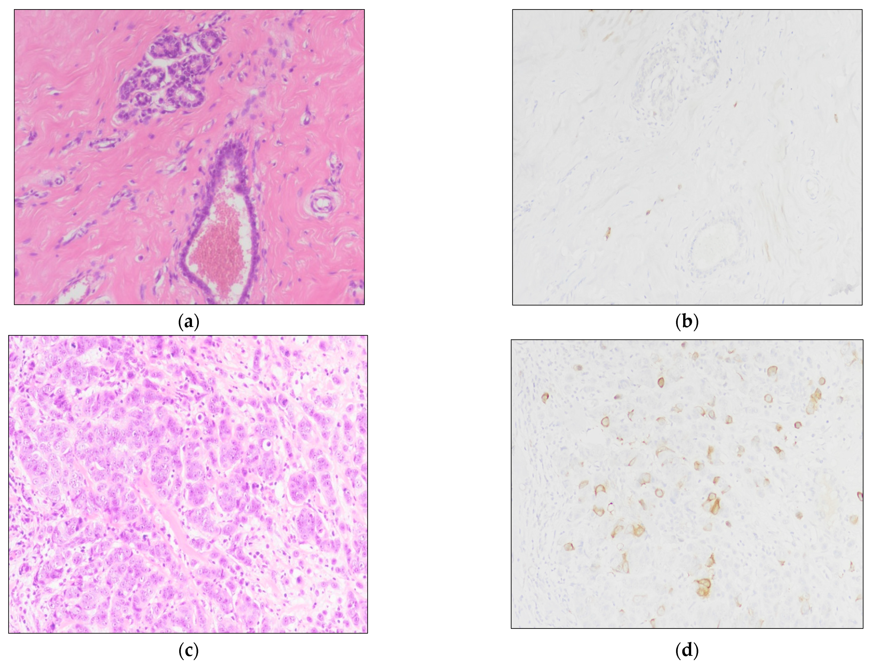 Jcm 10 05416 g001 550