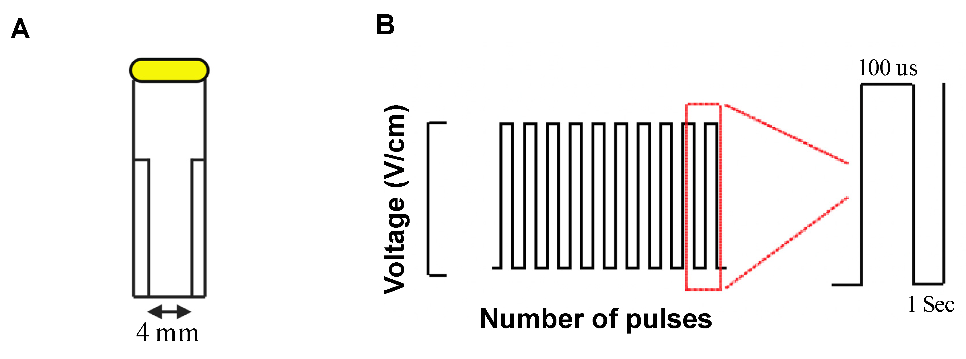 Jcm 10 05443 g001 Jcm 10 05443 g001