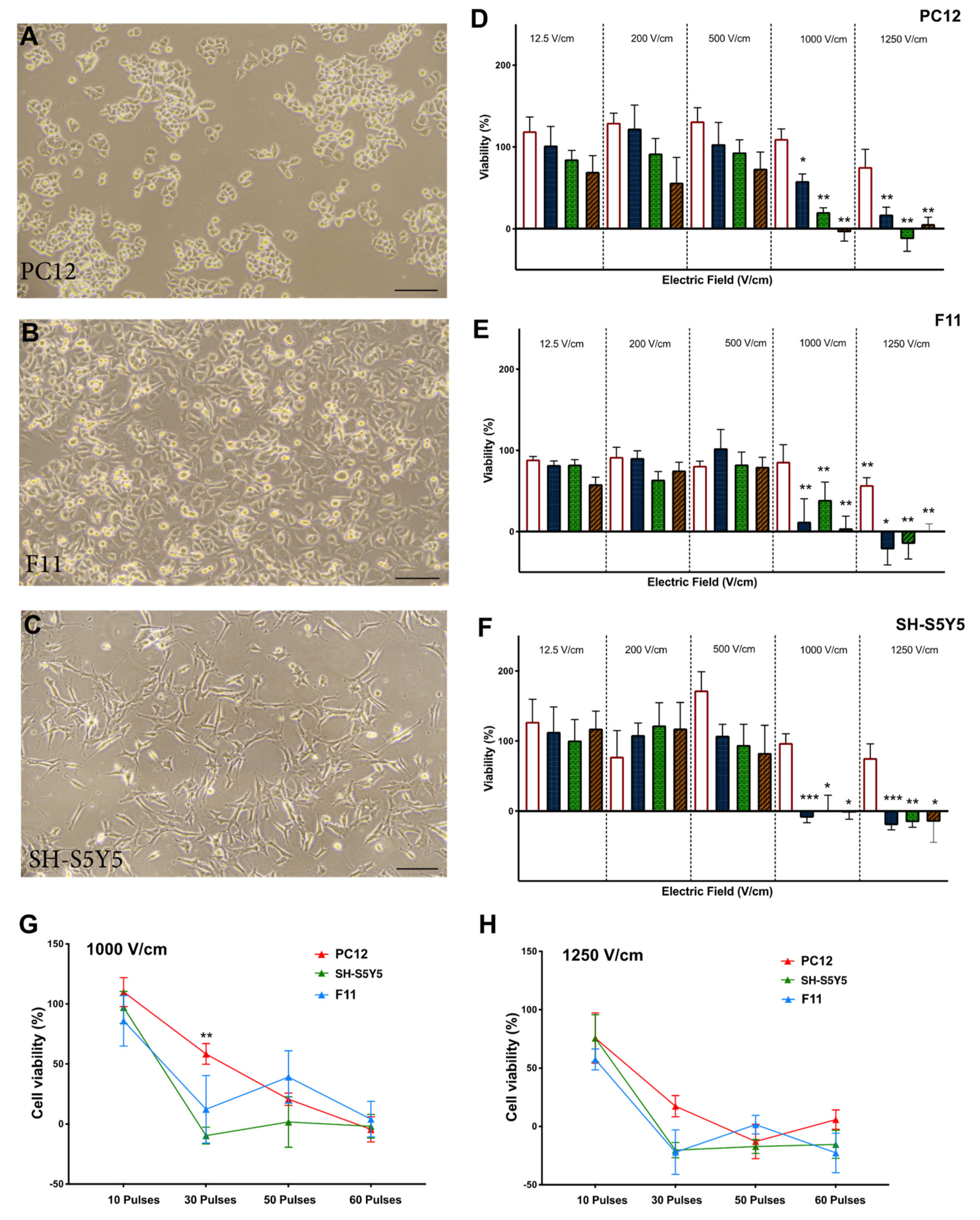 Jcm 10 05443 g002 Jcm 10 05443 g002