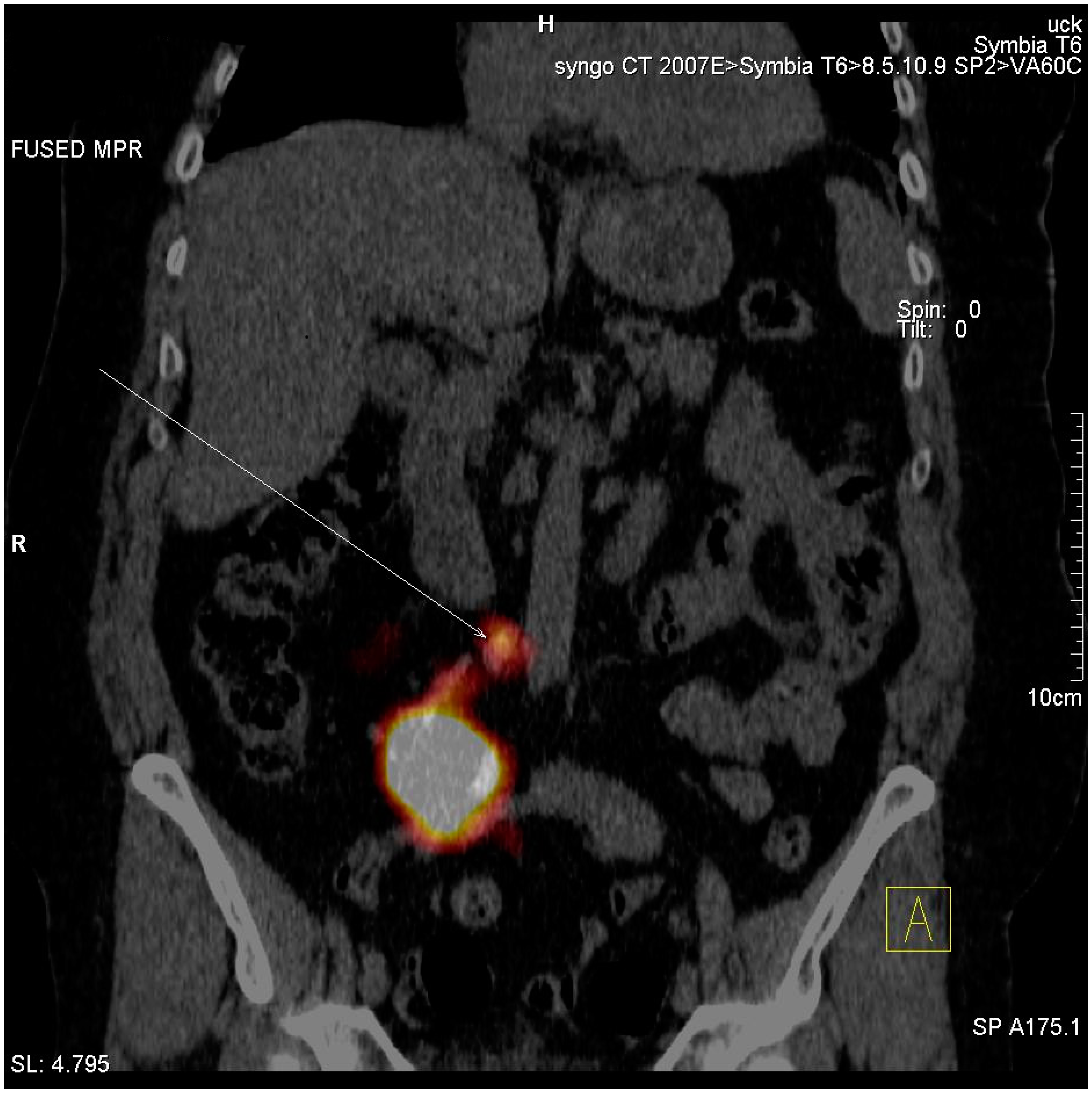 Jcm 10 05465 g003 Jcm 10 05465 g003
