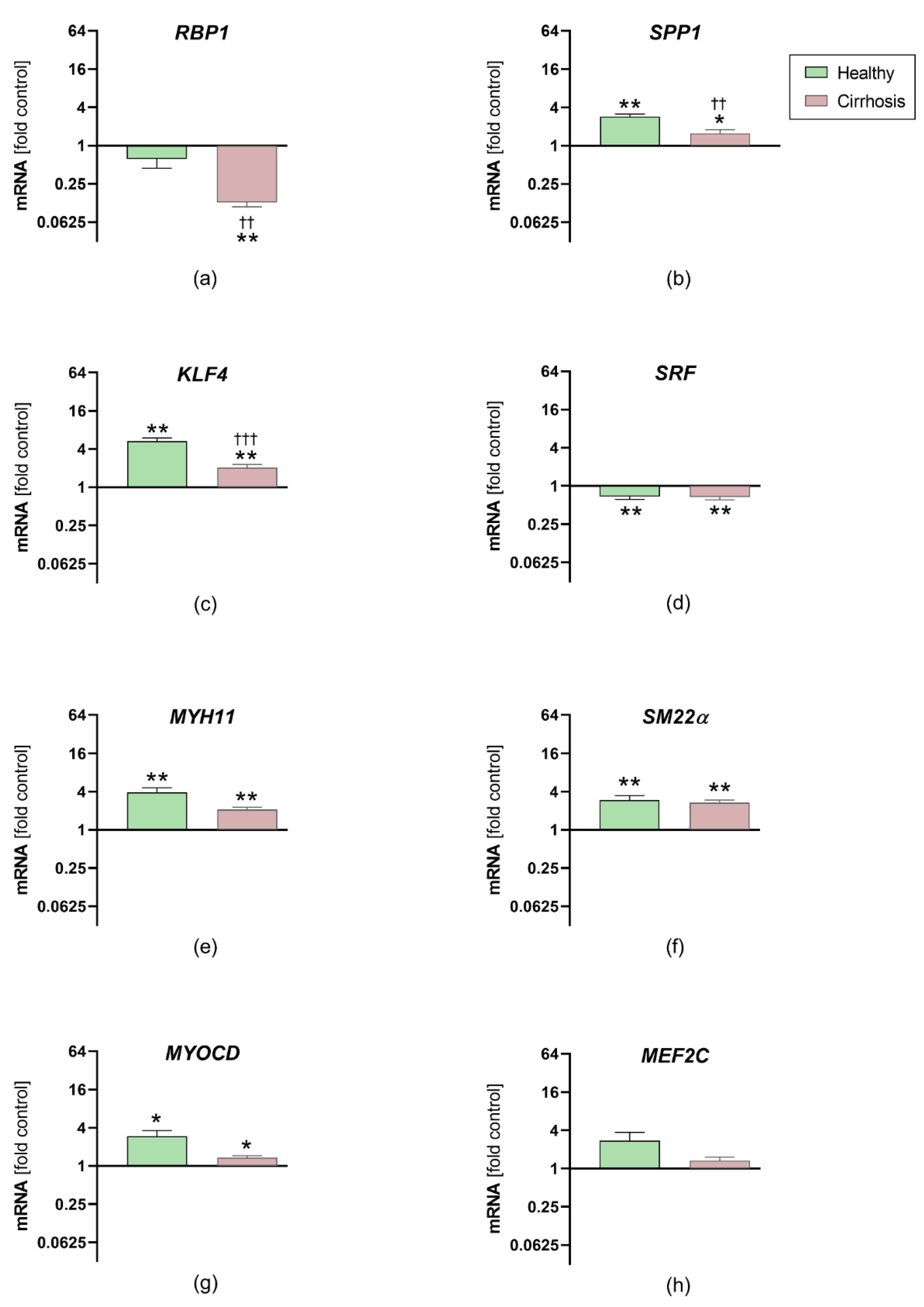 Jcm 10 05471 g005 Jcm 10 05471 g005