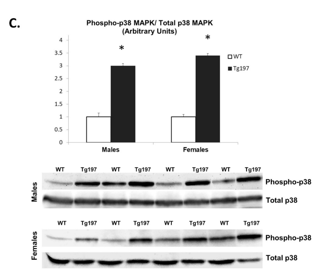 Jcm 10 05512 g001b Jcm 10 05512 g001b