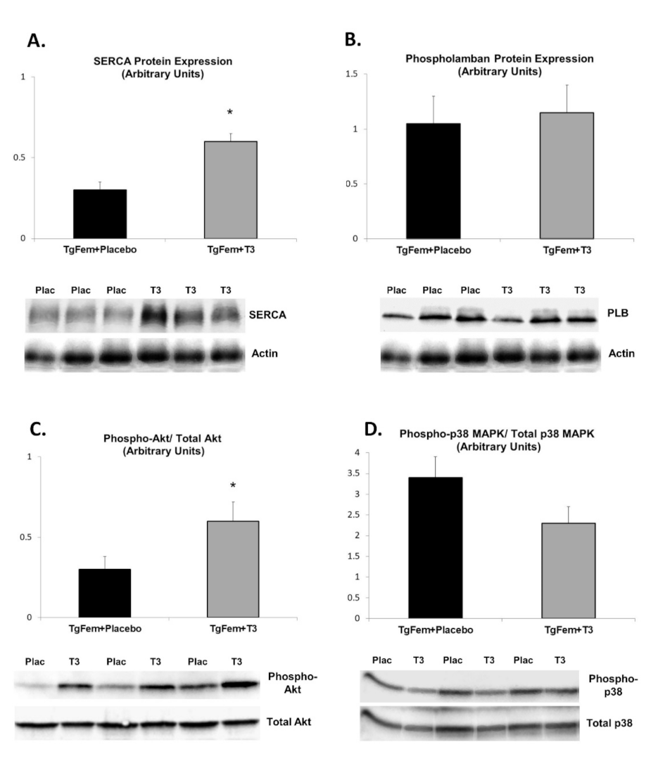 Jcm 10 05512 g003 Jcm 10 05512 g003