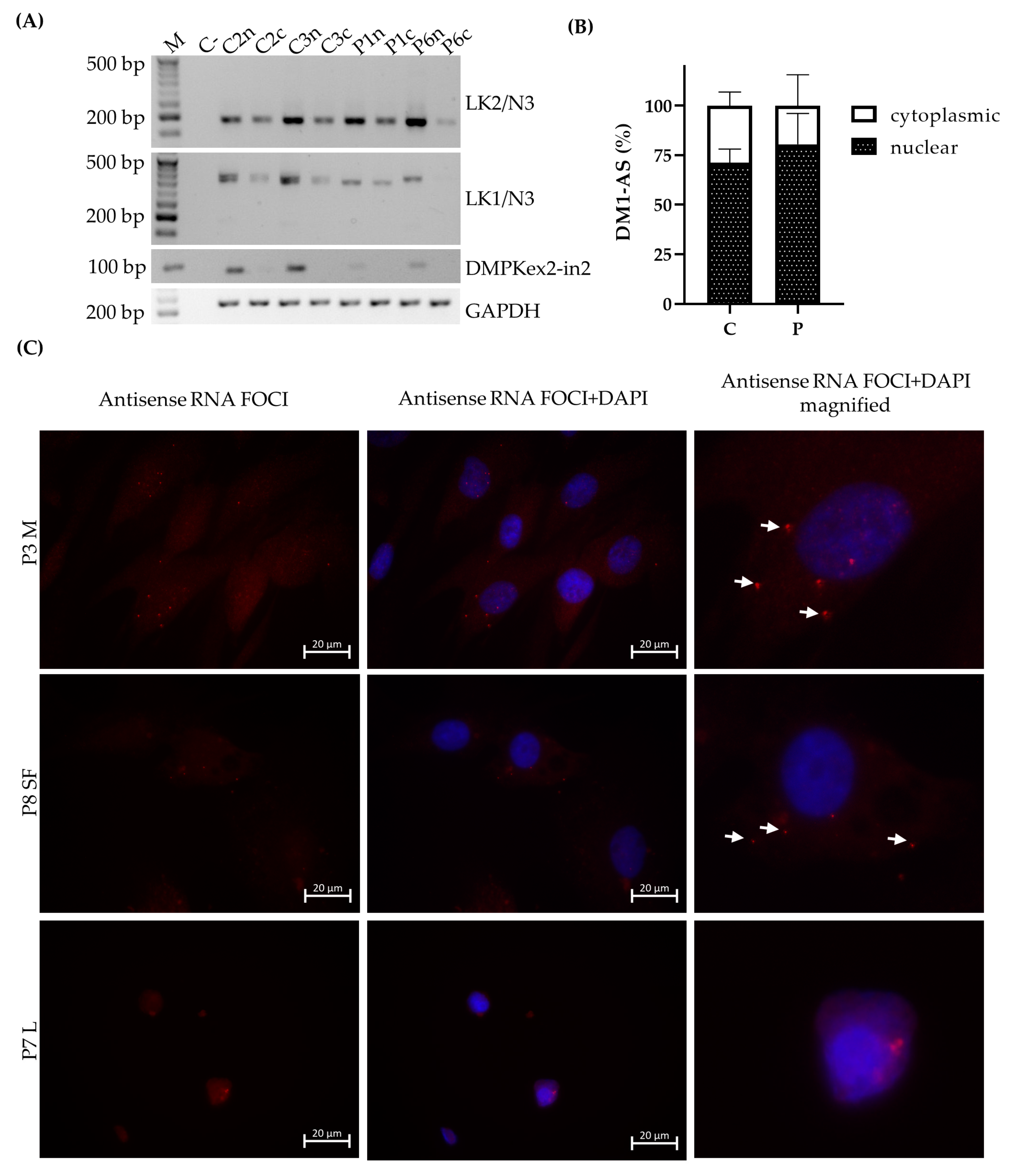 Jcm 10 05520 g002 550