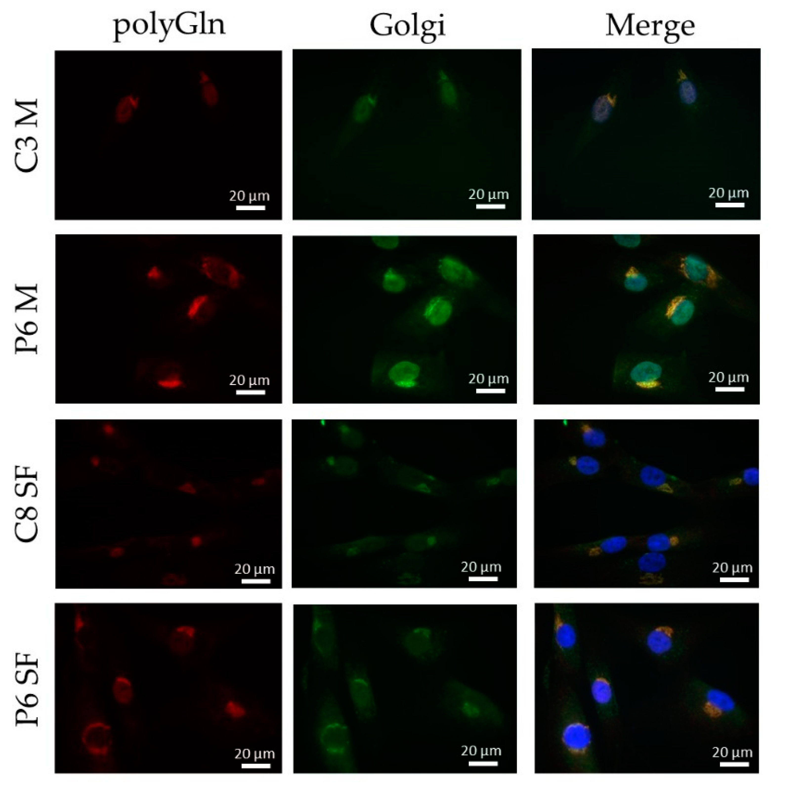 Jcm 10 05520 g005 550
