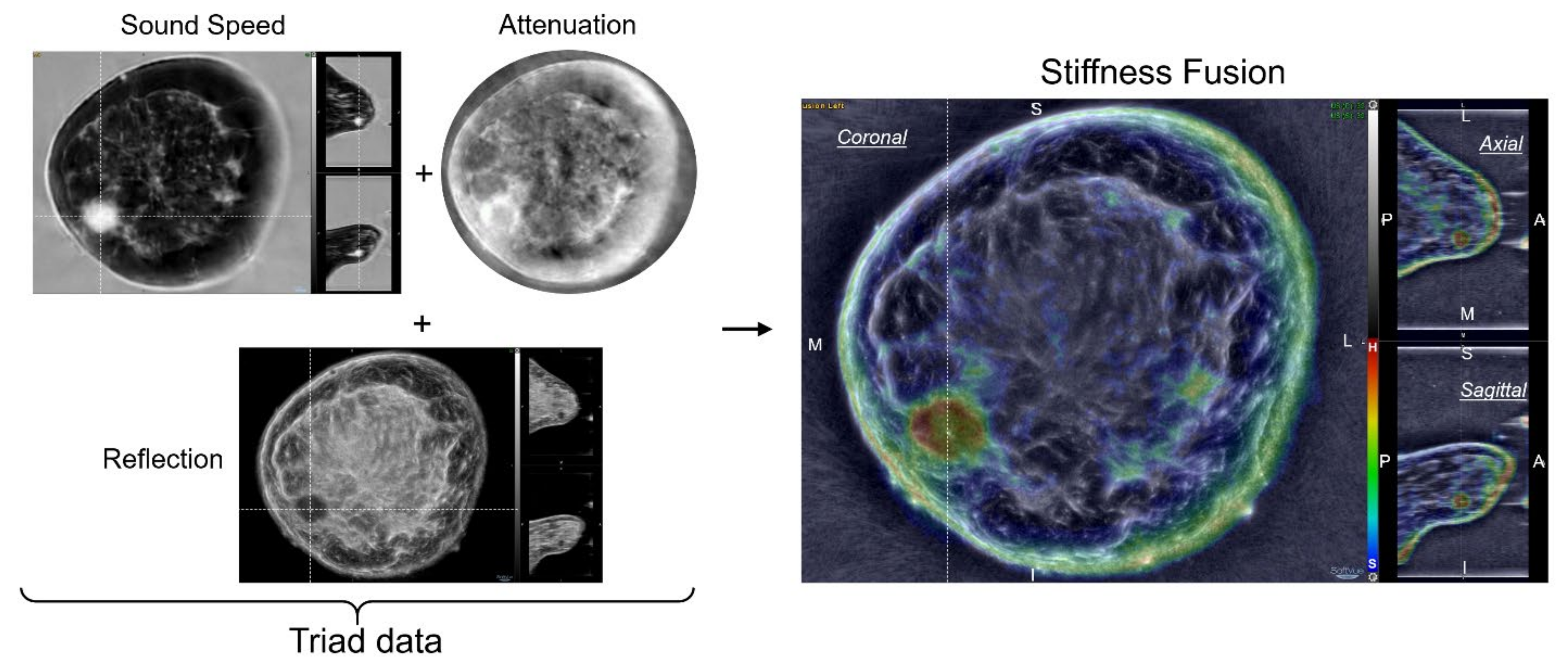 Jcm 10 05528 g001 550