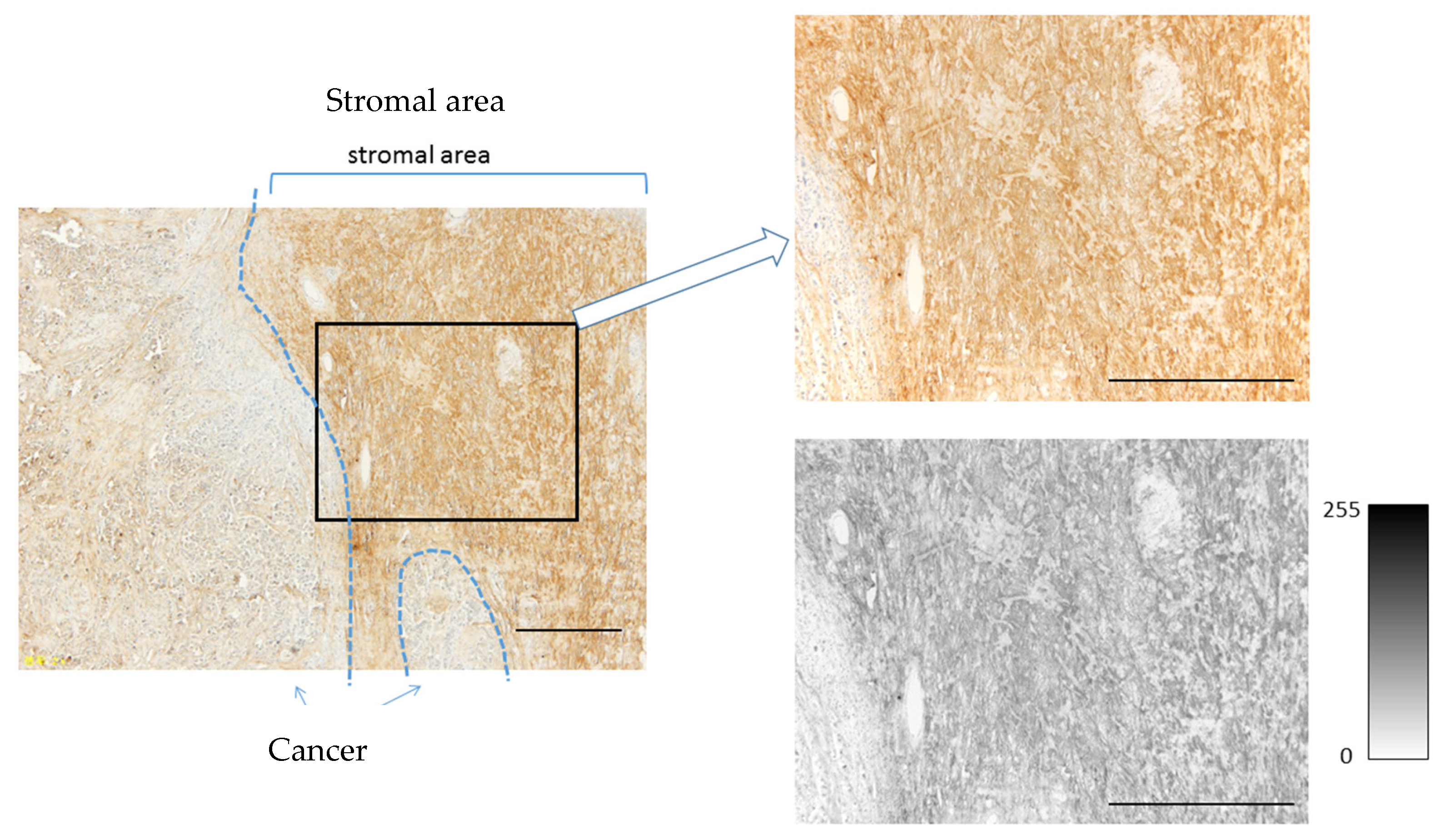 Jcm 10 05530 g0a1 Jcm 10 05530 g0a1