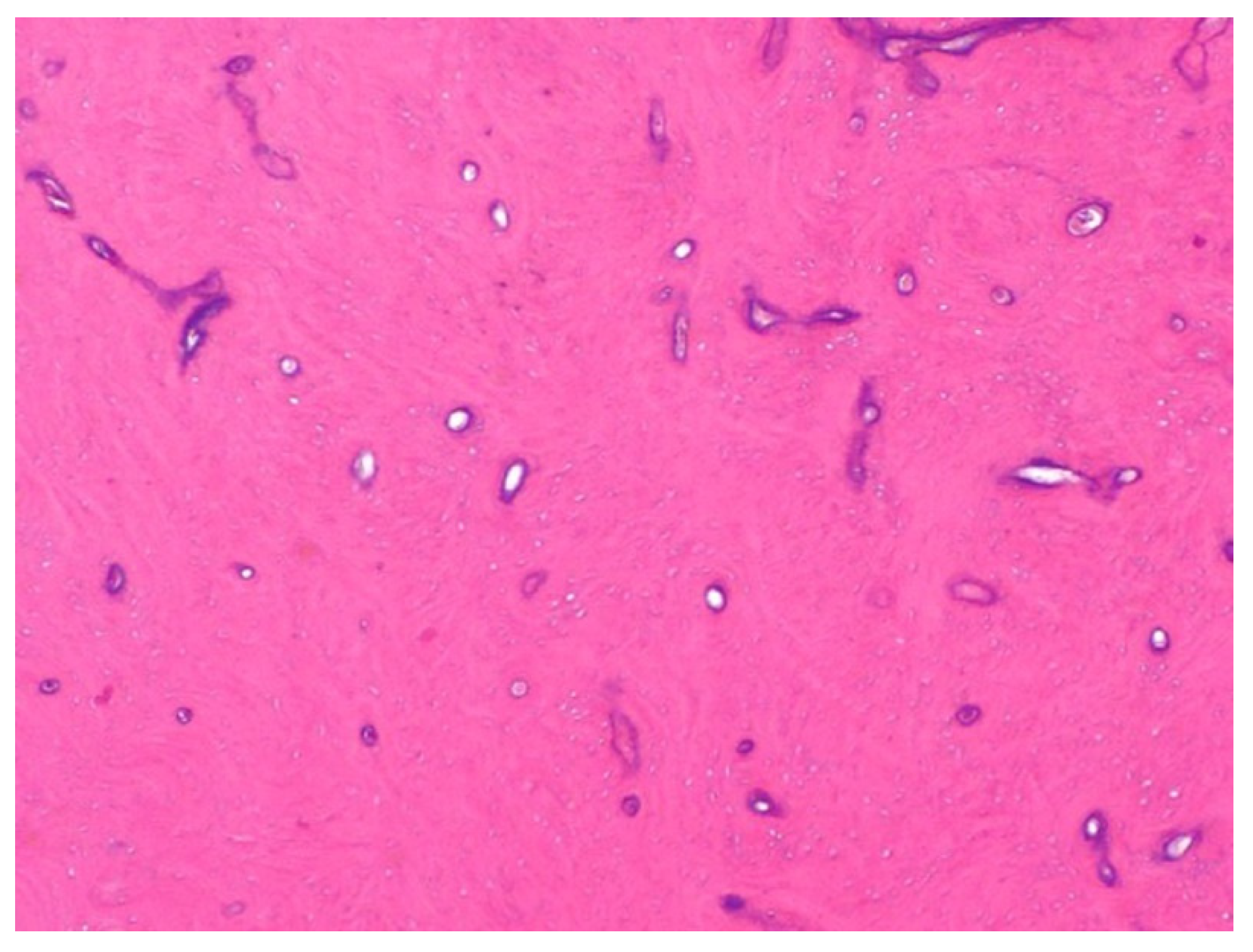 Jcm 10 05584 g003 Jcm 10 05584 g003