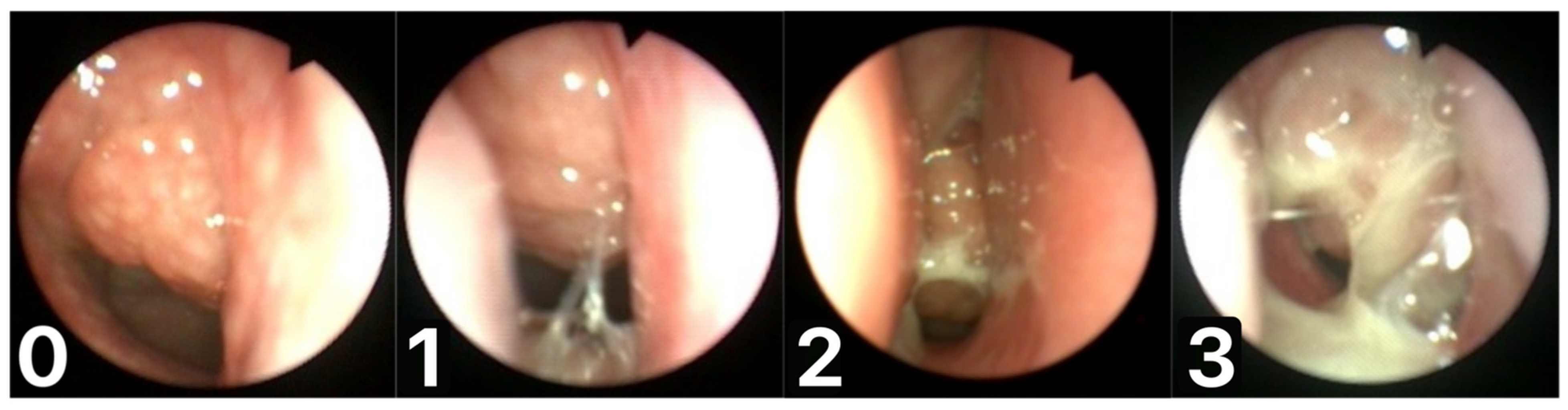 Jcm 10 05603 g001 Jcm 10 05603 g001