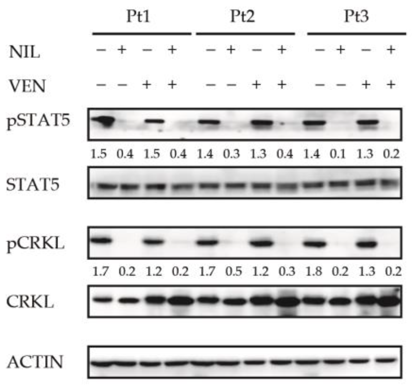 Jcm 10 05606 g003 Jcm 10 05606 g003