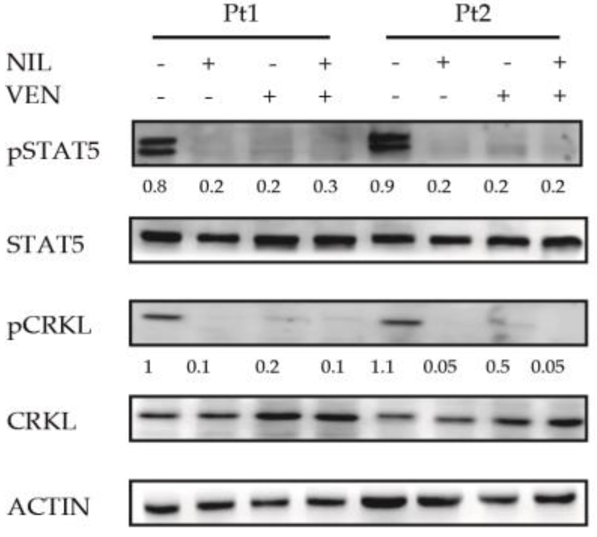 Jcm 10 05606 g006 Jcm 10 05606 g006