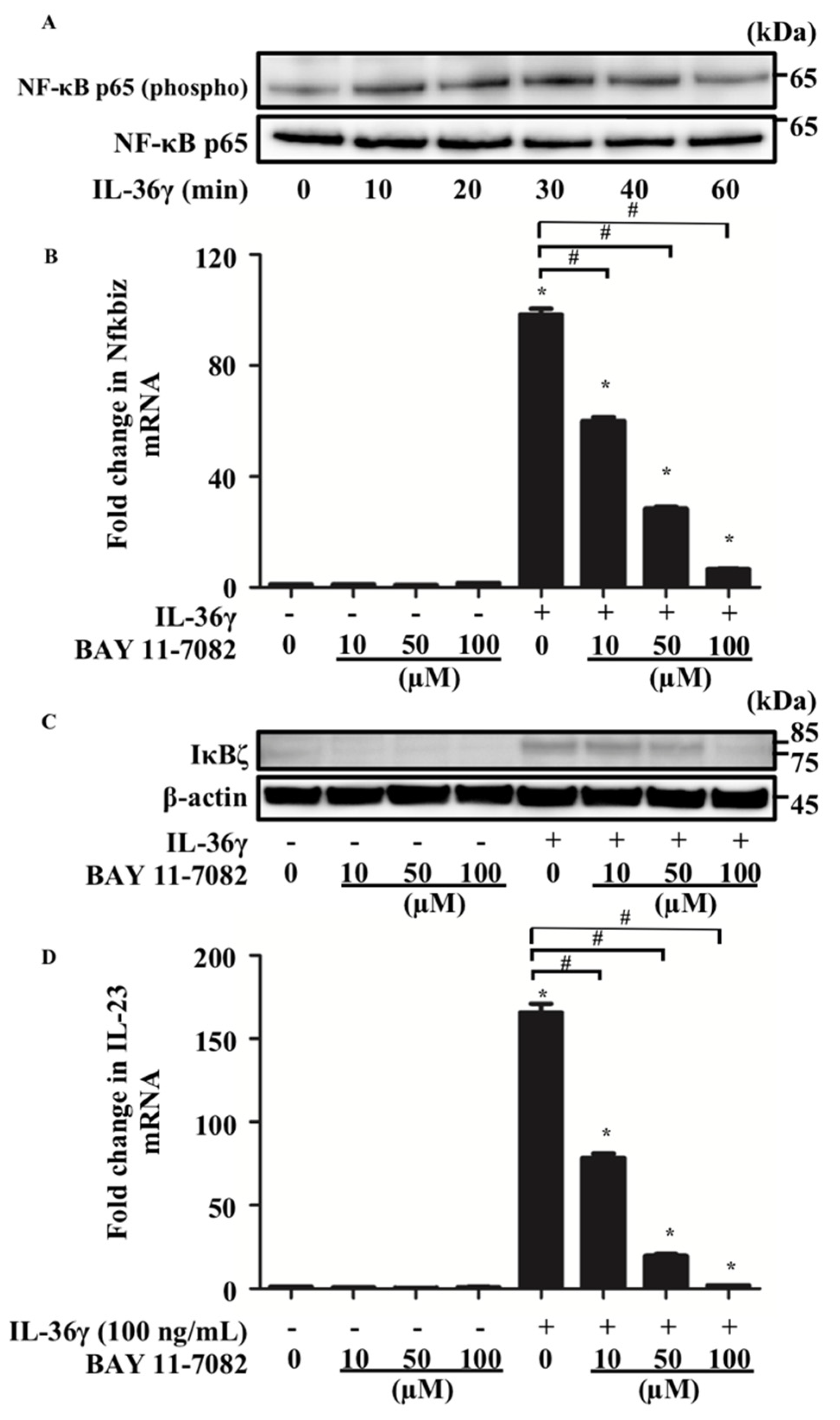 Jcm 10 05610 g003 550