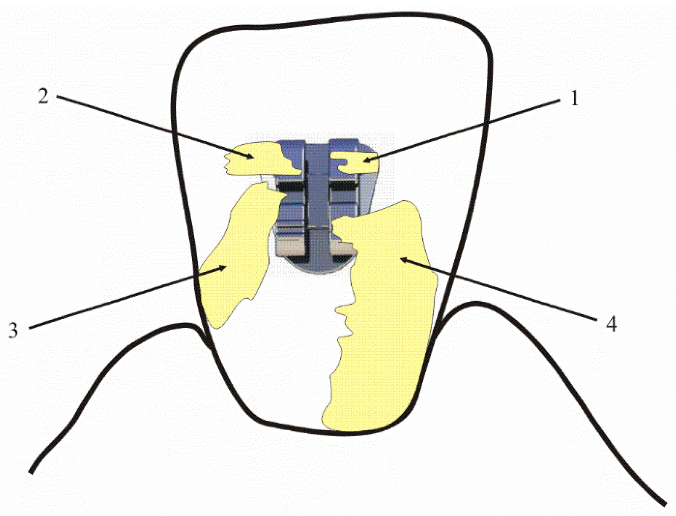 Jcm 10 05638 g003 550