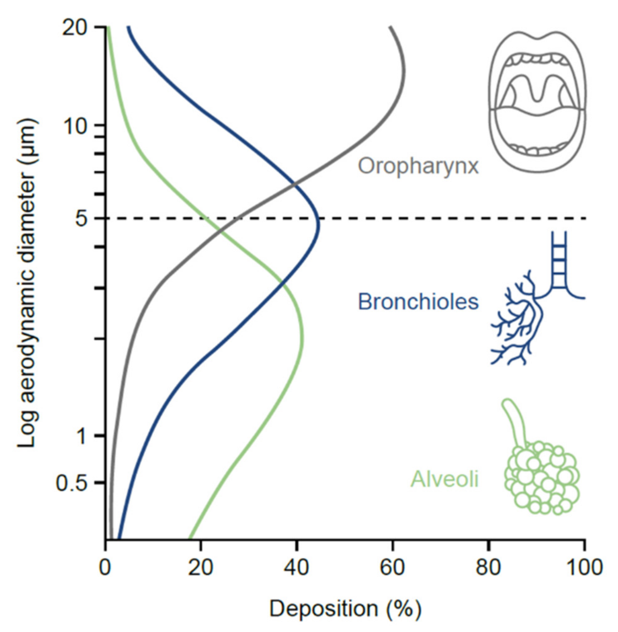 Jcm 10 05683 g002 550