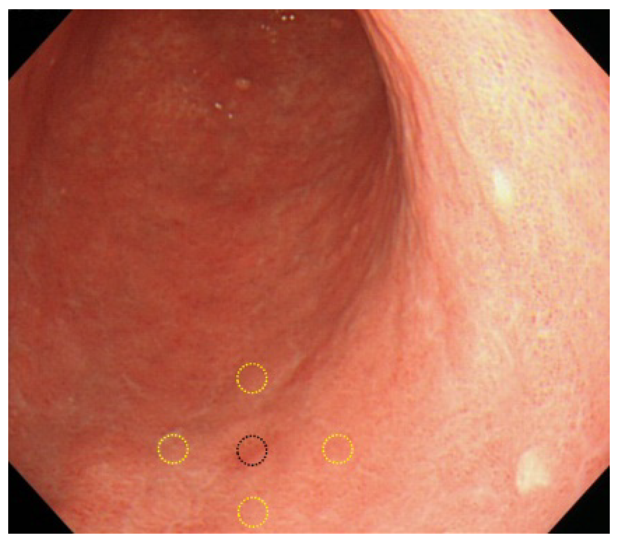 Jcm 10 05704 g002 Jcm 10 05704 g002