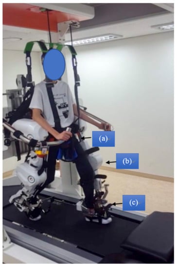 Who Are the Best Candidates for Robotic Gait Training Rehabilitation in Hemiparetic Stroke(2)