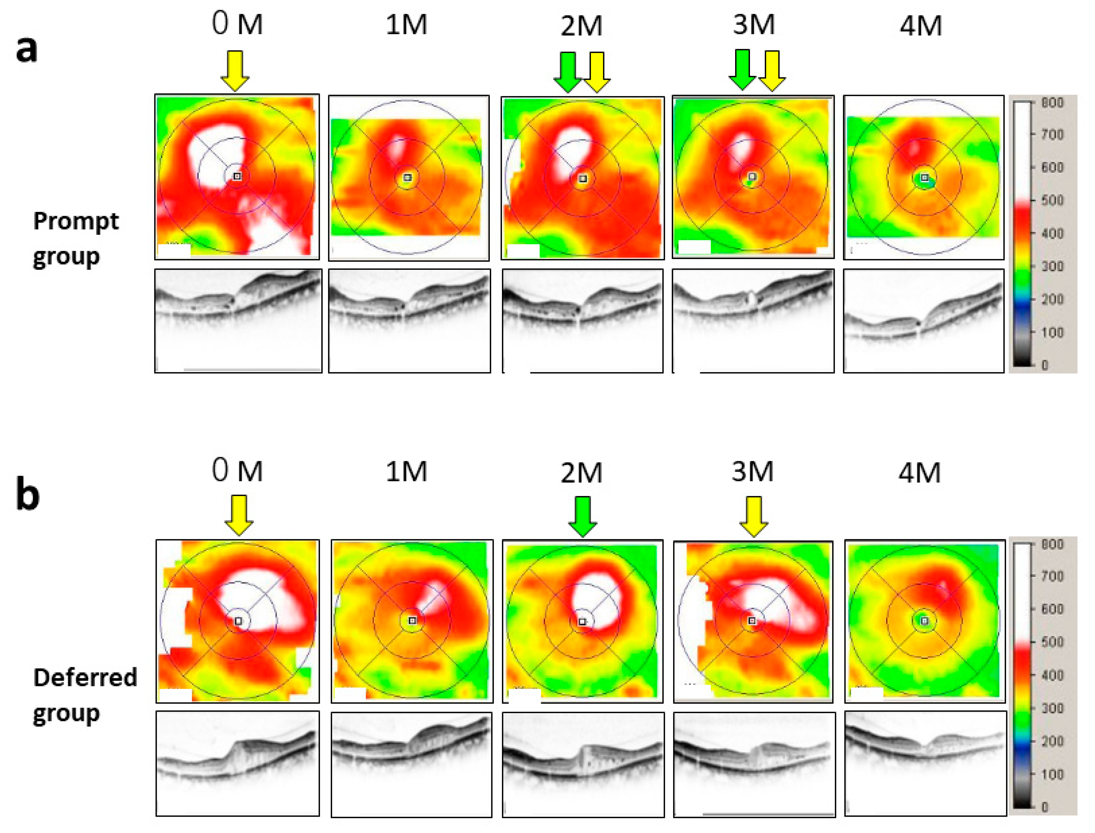 Jcm 10 05738 g001 550