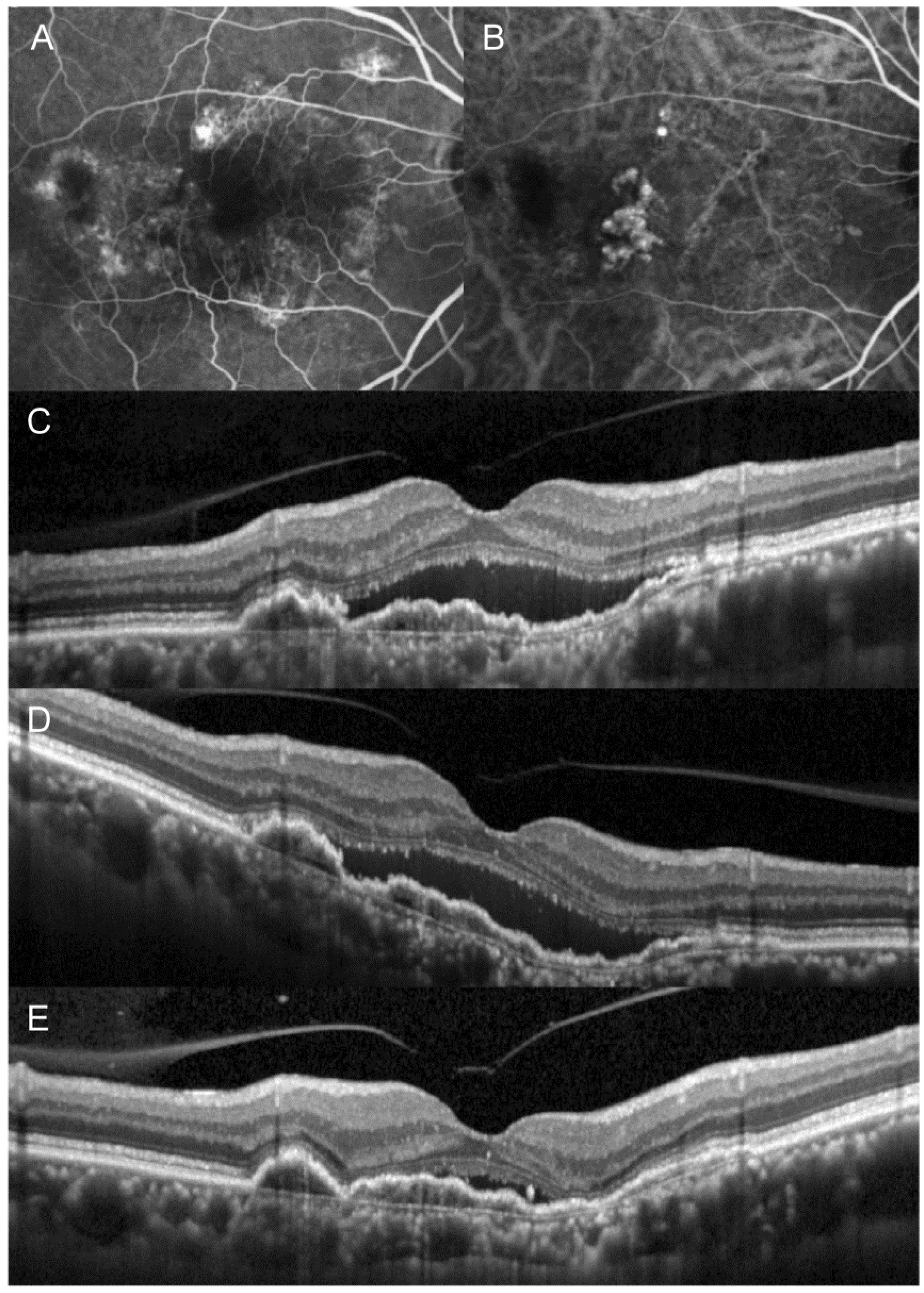 Jcm 10 05739 g002 550