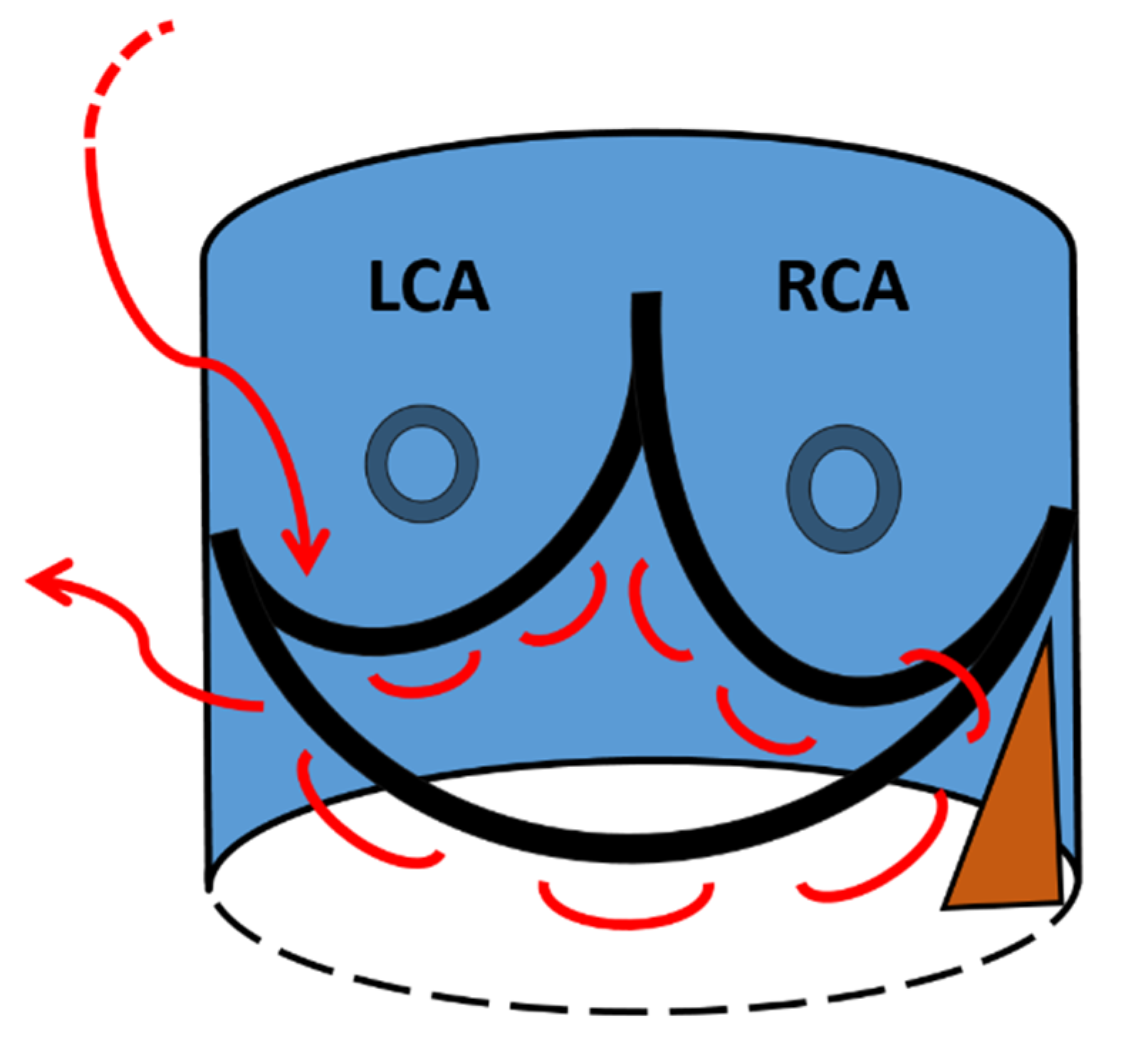 Jcm 10 05776 g002 Jcm 10 05776 g002