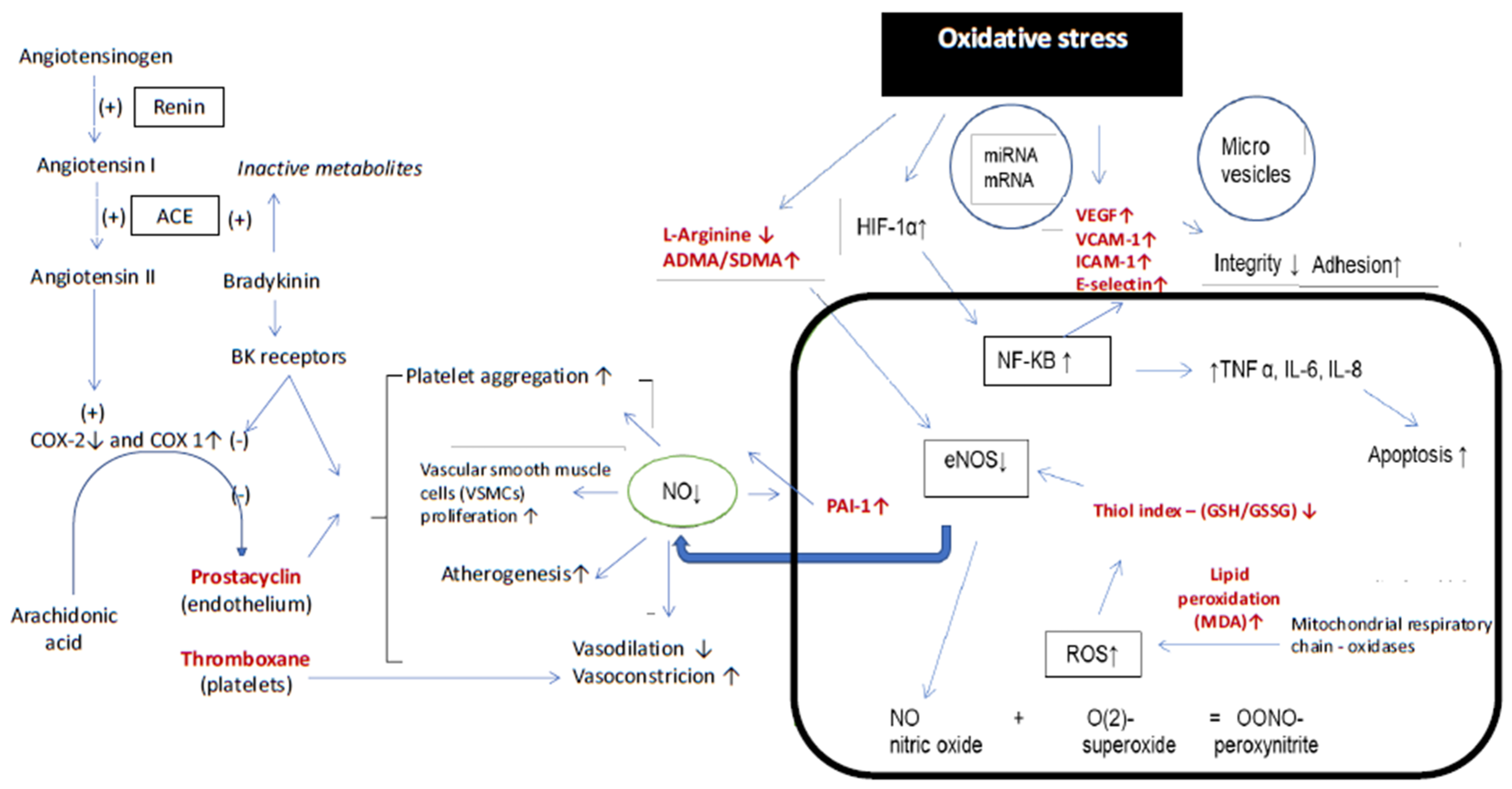 Jcm 10 05816 g001 Jcm 10 05816 g001