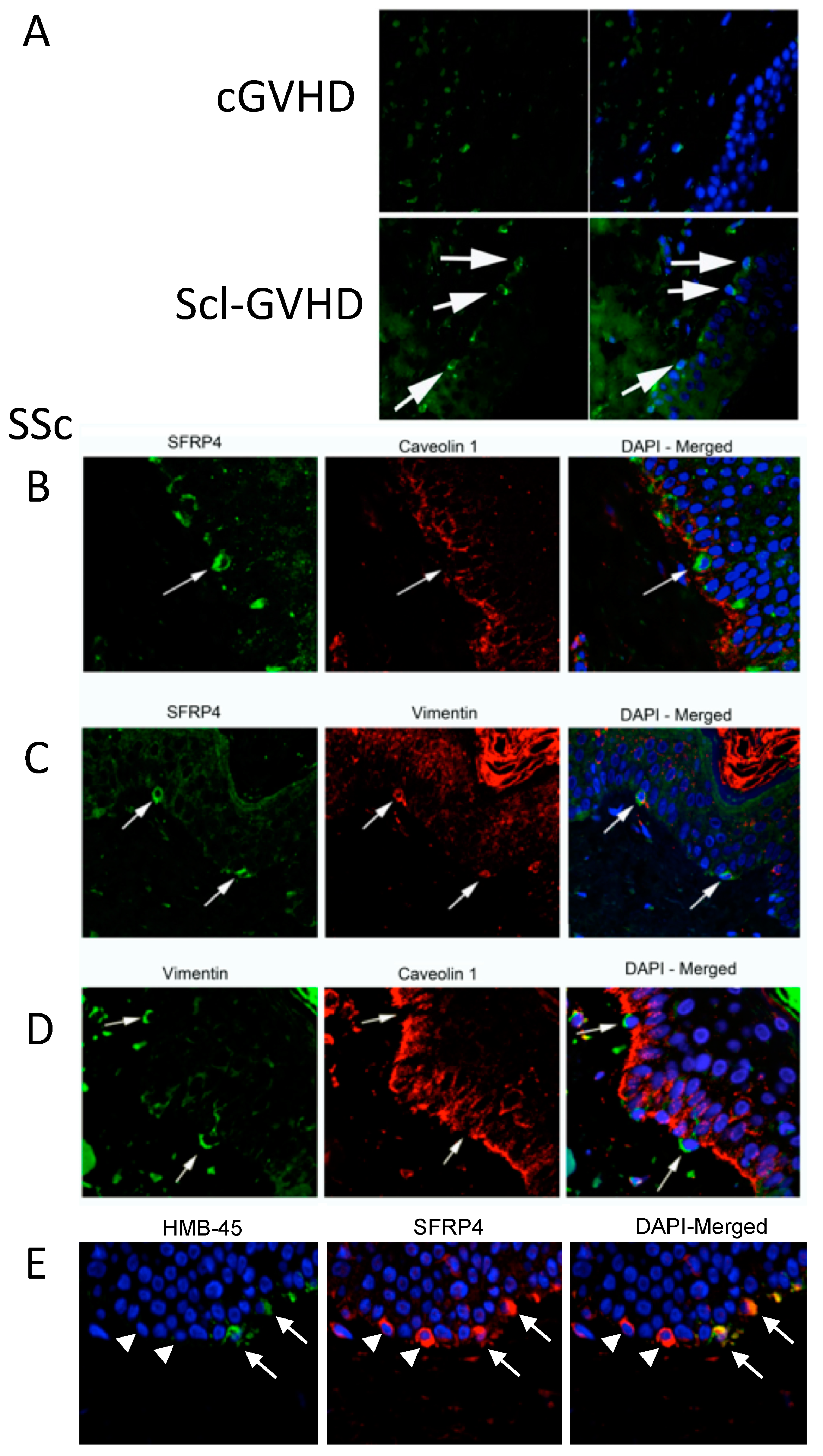 Jcm 10 05820 g002 550