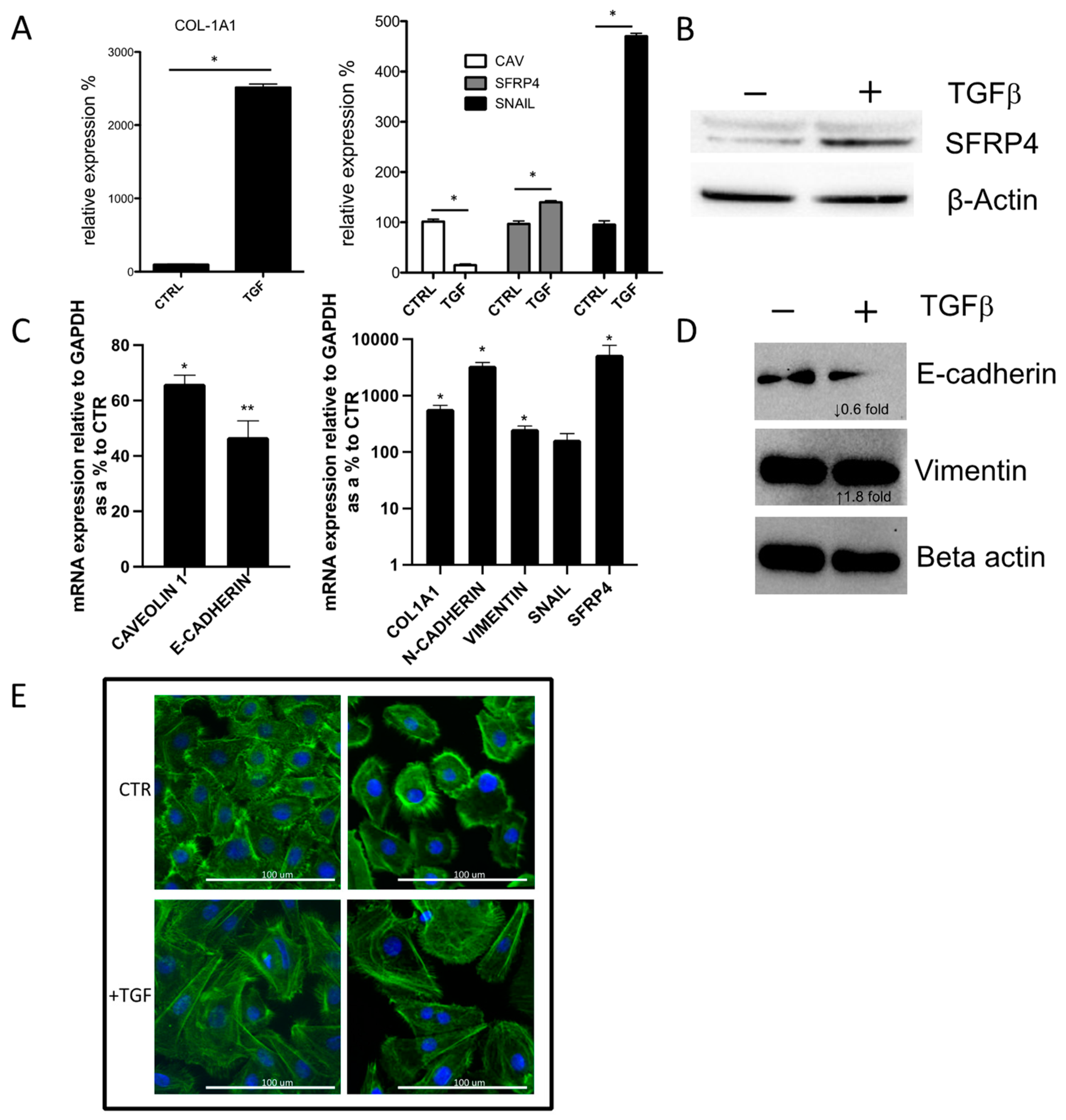 Jcm 10 05820 g003 550