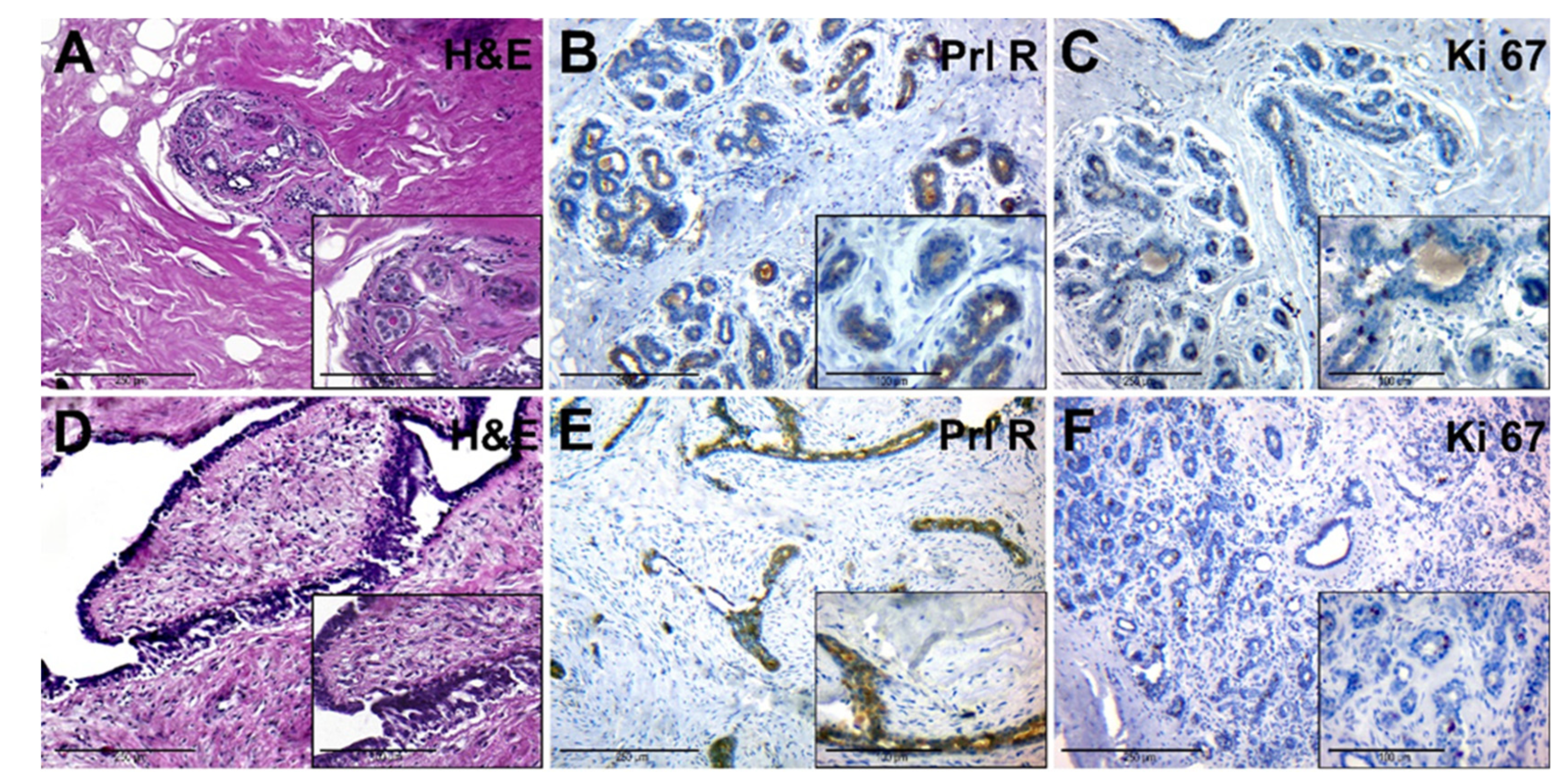 Jcm 10 05866 g003 Jcm 10 05866 g003