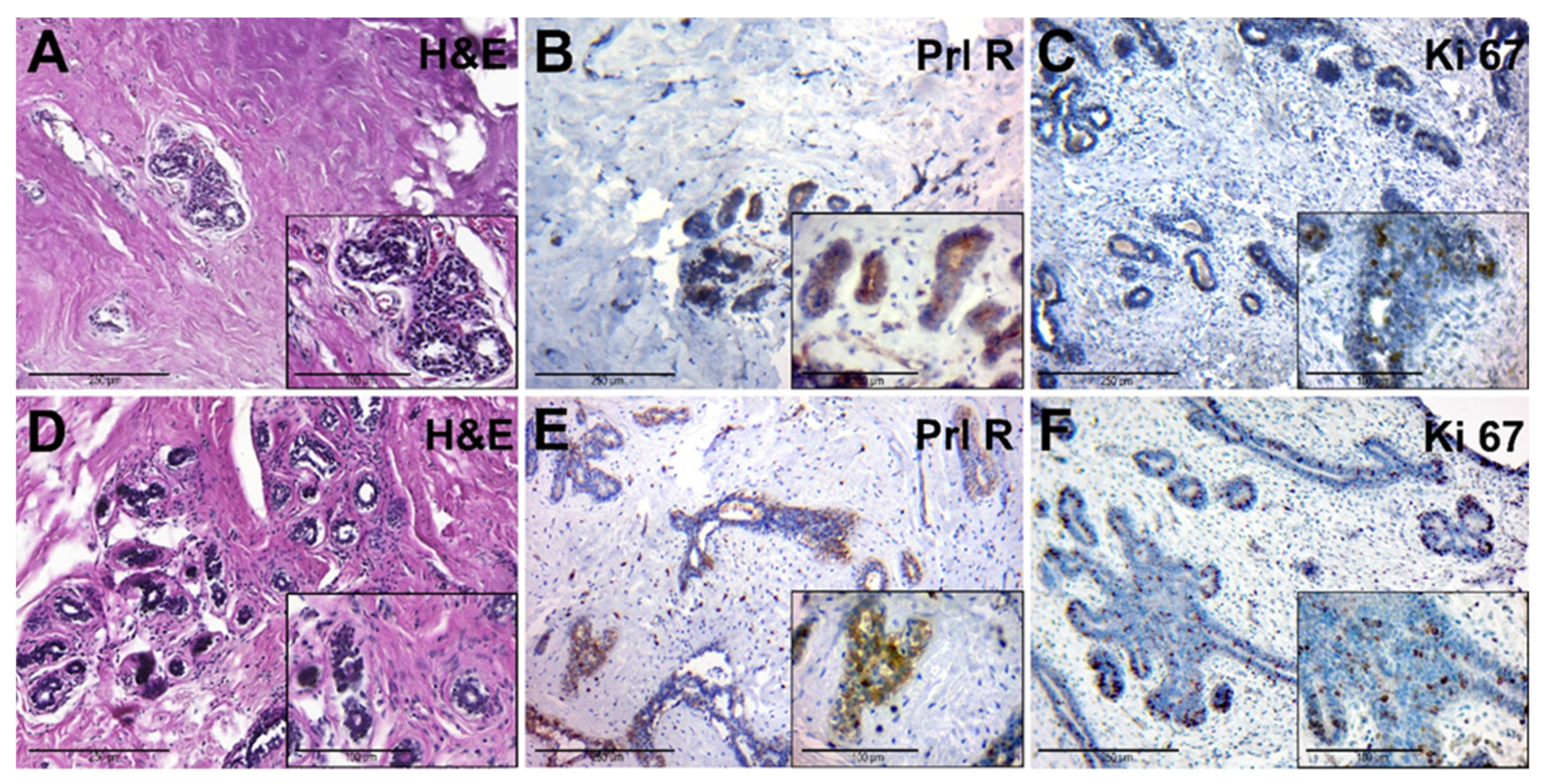 Jcm 10 05866 g004 Jcm 10 05866 g004