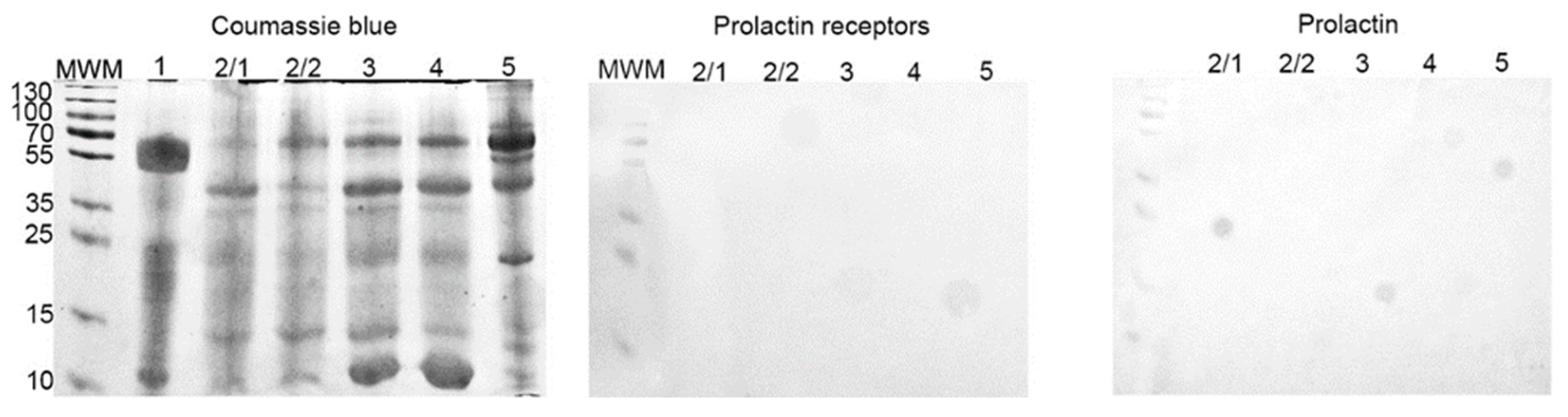 Jcm 10 05866 g007 Jcm 10 05866 g007