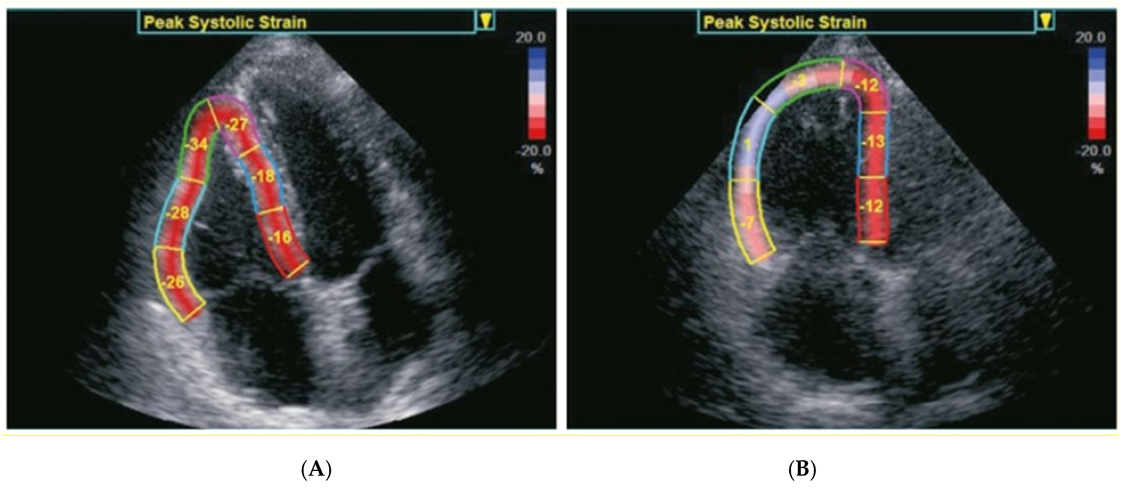 Jcm 10 05877 g001 550