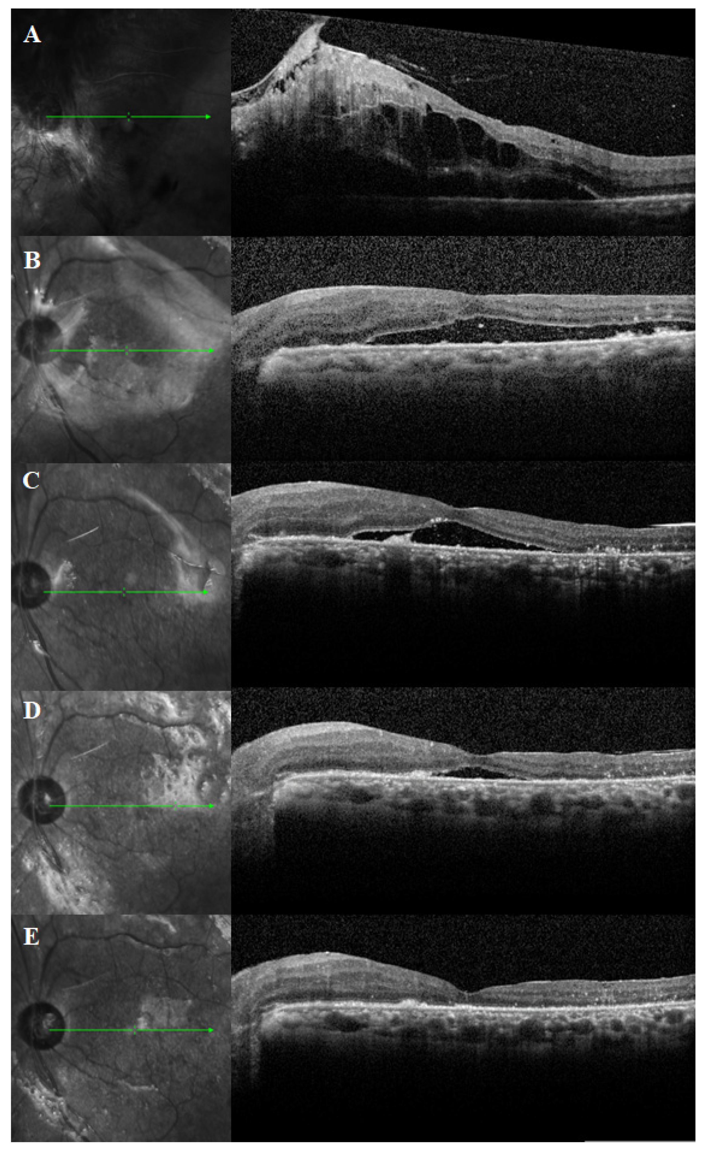 Jcm 10 05929 g002 Jcm 10 05929 g002