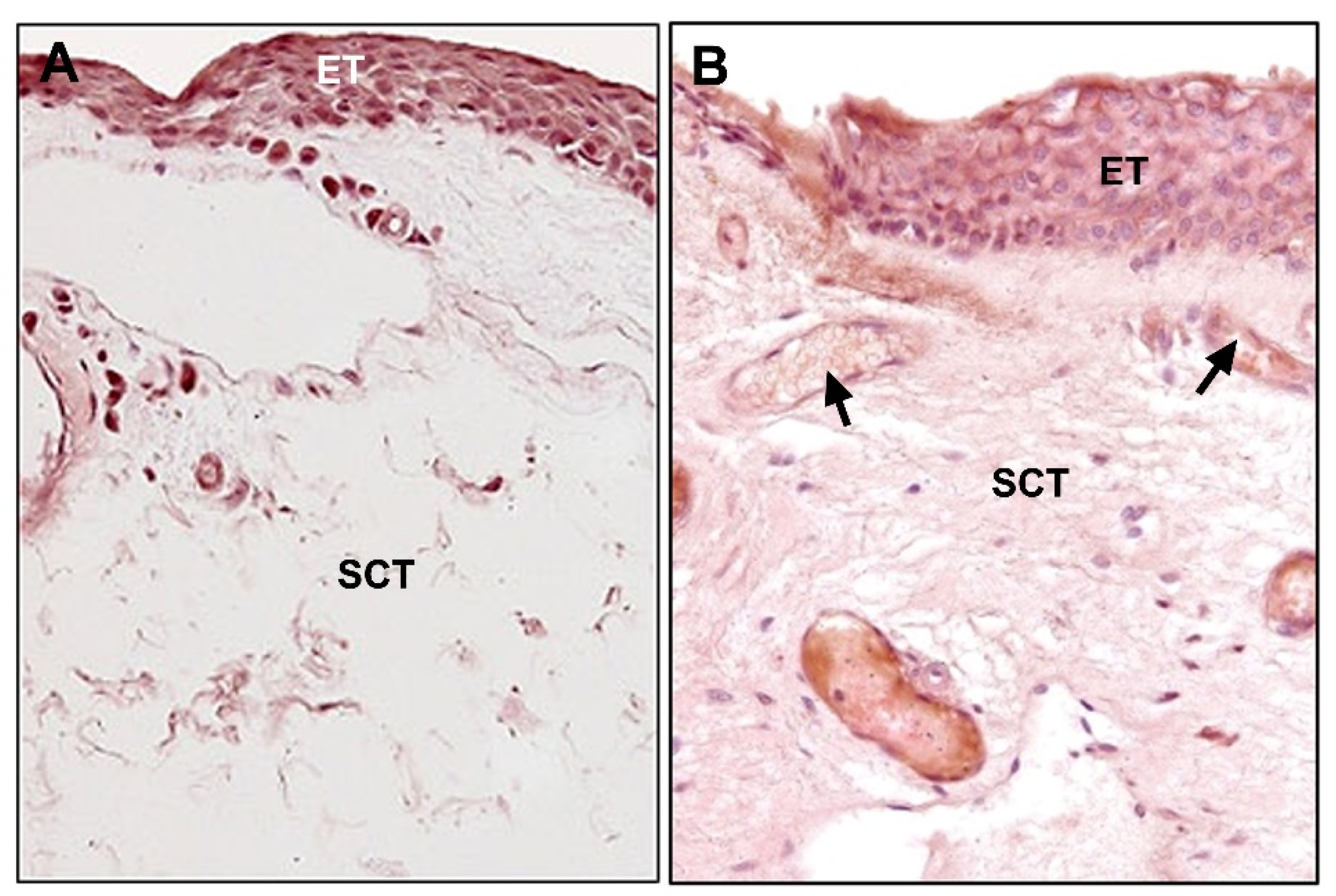 Jcm 10 05930 g008 Jcm 10 05930 g008