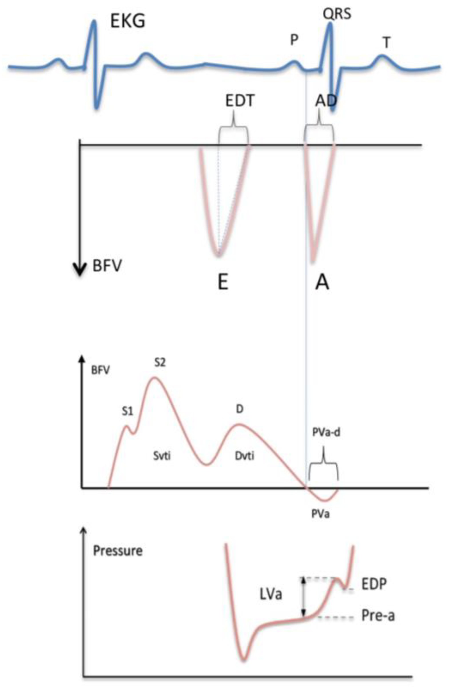 Jcm 10 05954 g001 Jcm 10 05954 g001