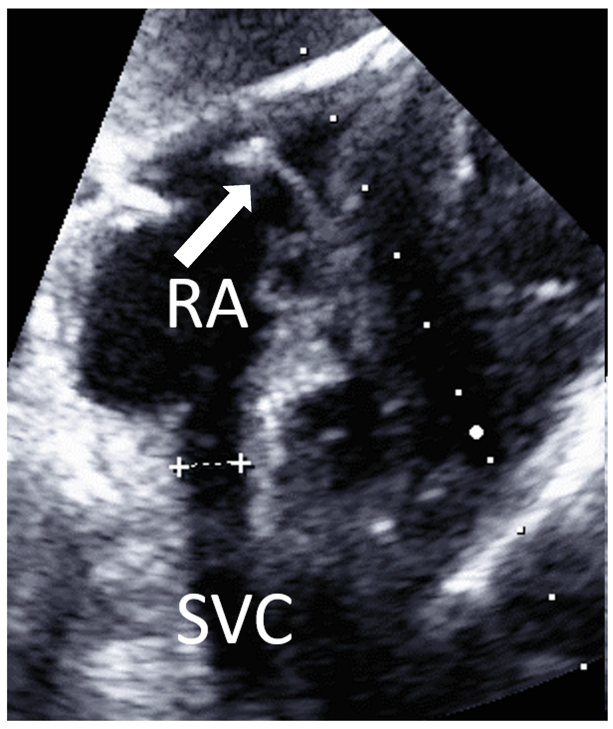 Jcm 10 05971 g005 550