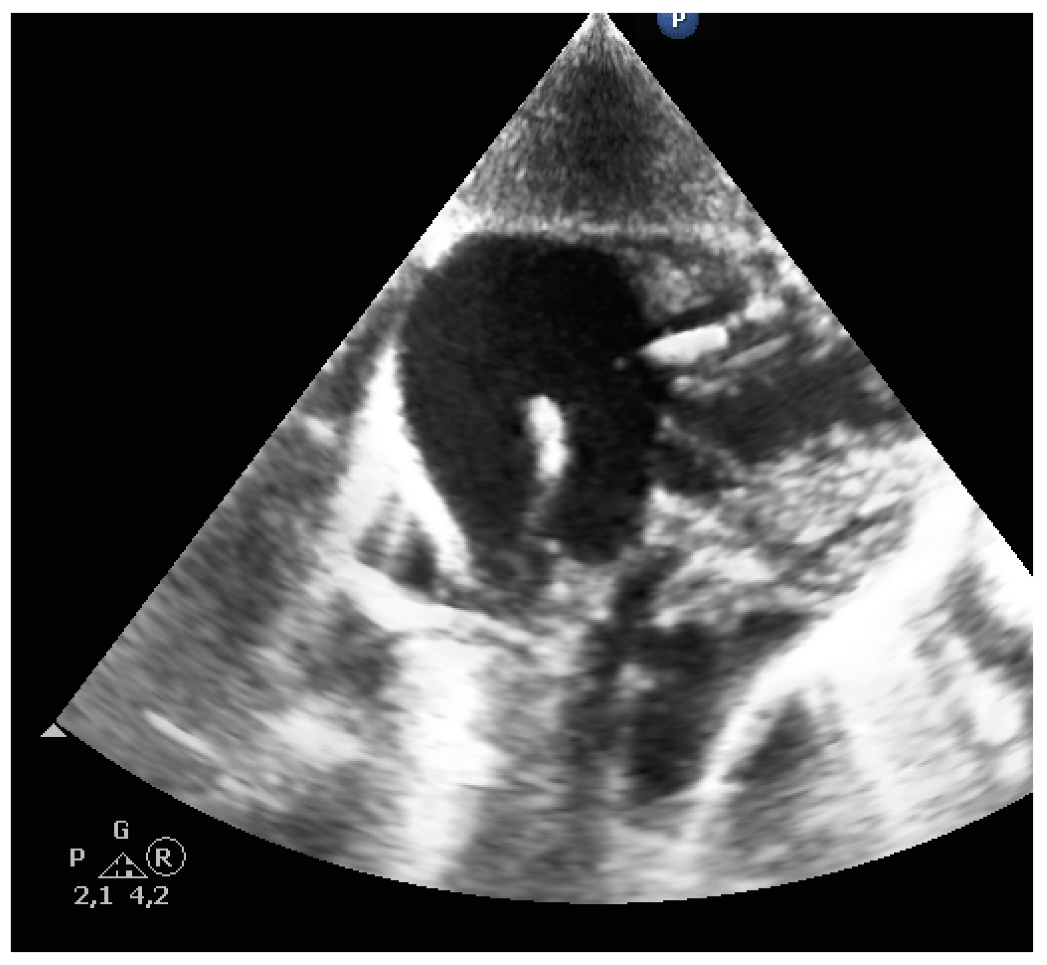 Jcm 10 05971 g008 550