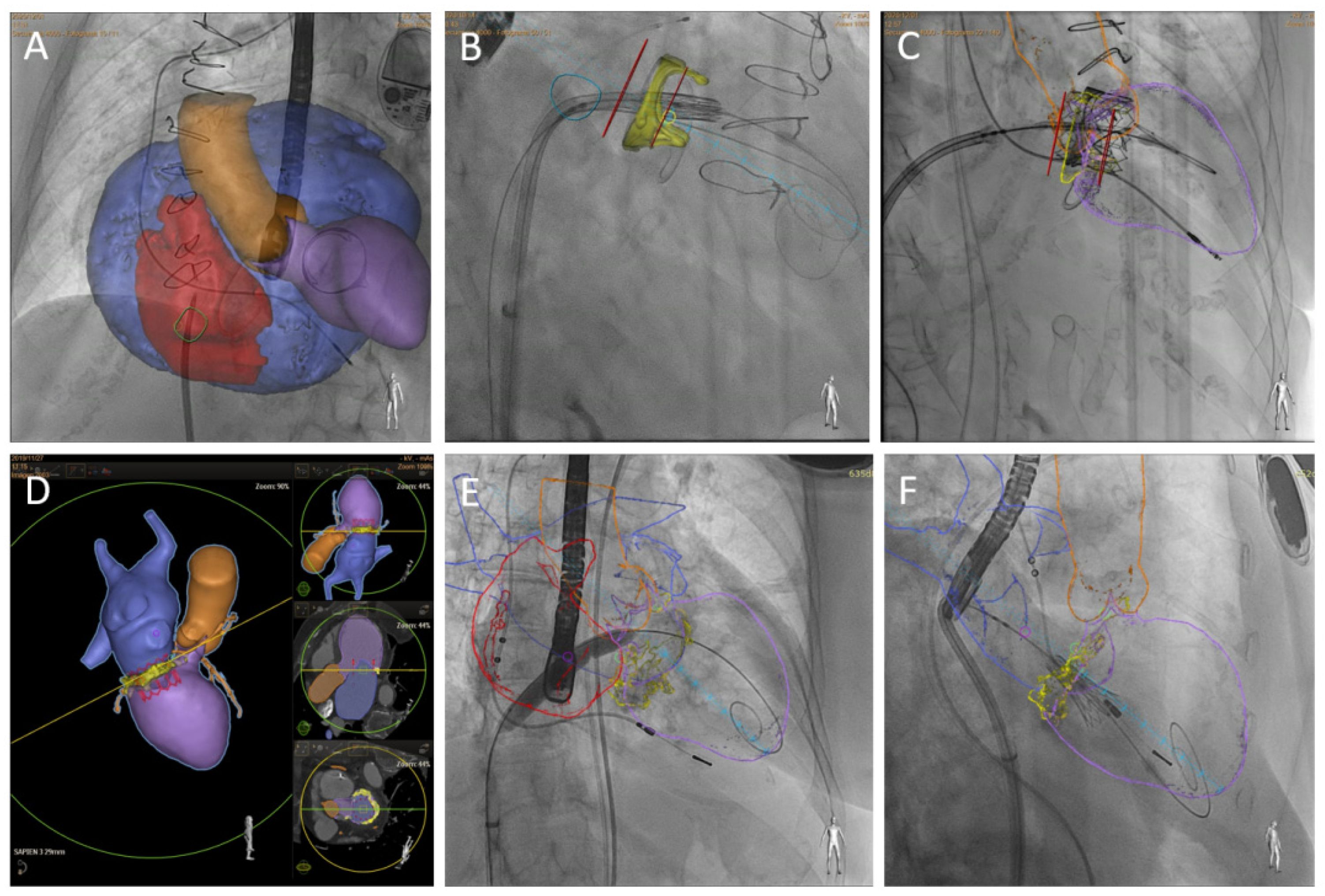 Jcm 10 05973 g002 550